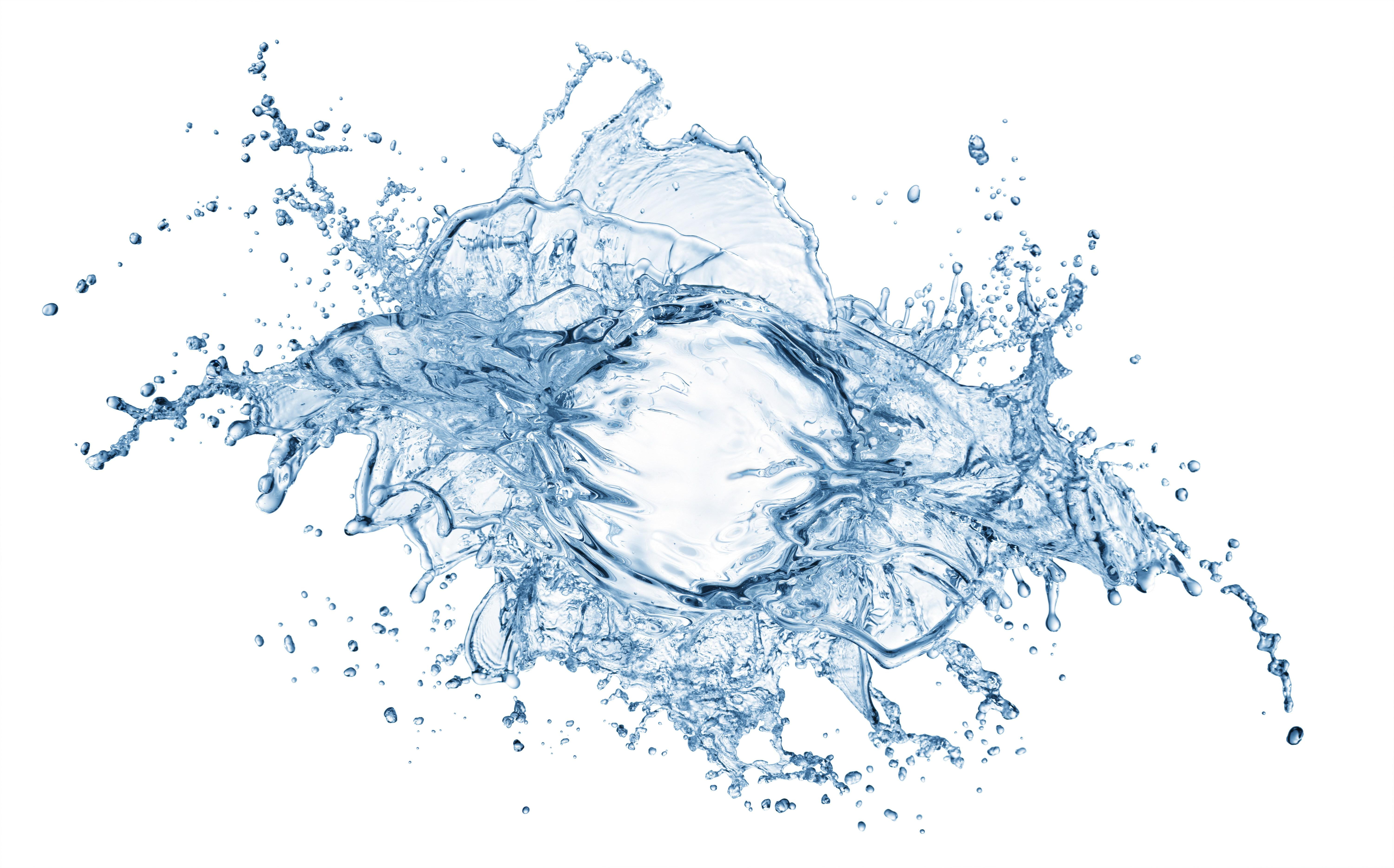 white, abstract, 5K, water, background, splash, white background, HD Wallpaper