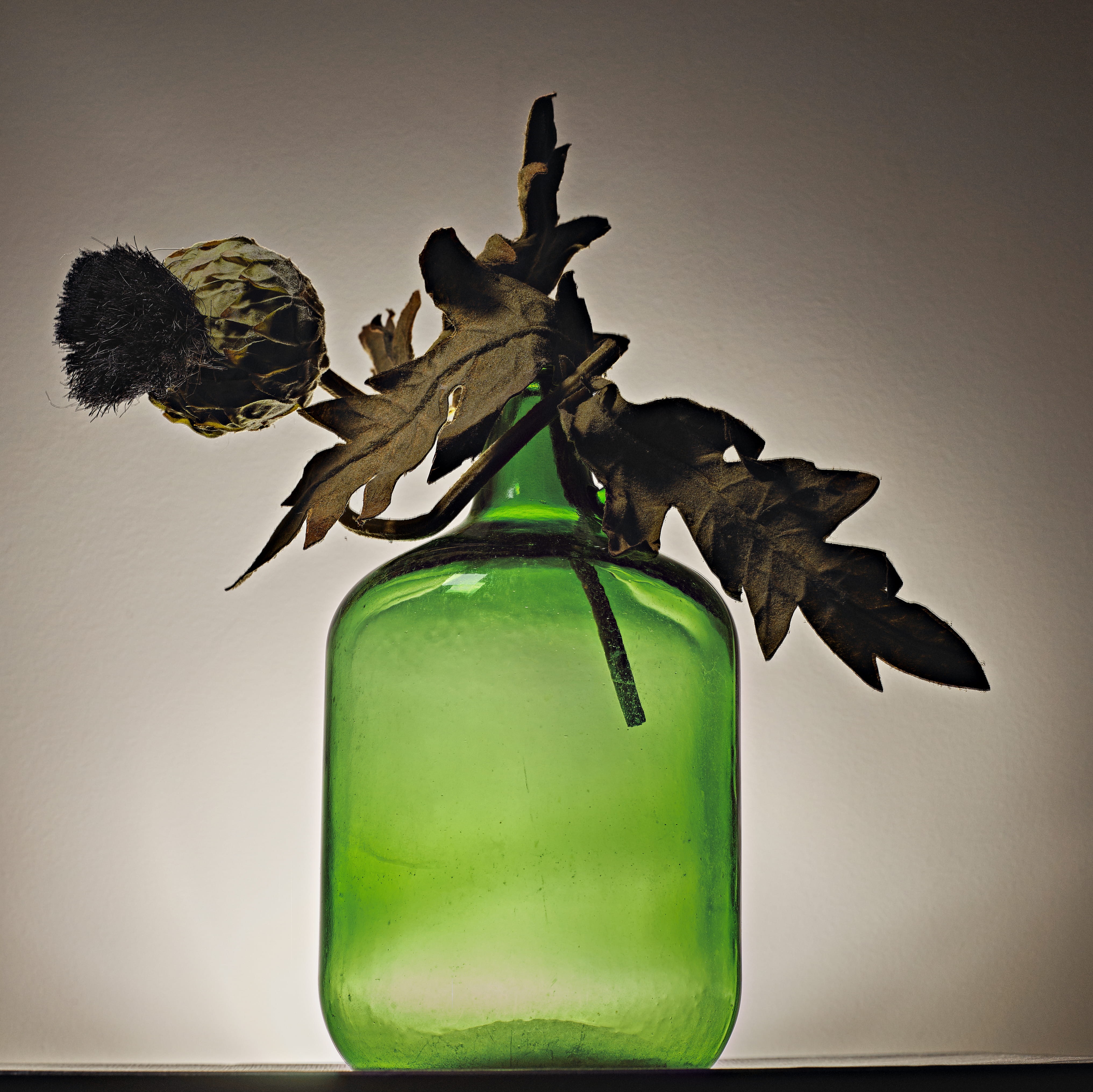 colored background, bottle, green, animal themes, animal, 4K, green Color, sculpture, close-up, vase, green glass, leaf, no People, brown, nature, indoors, HD Wallpaper