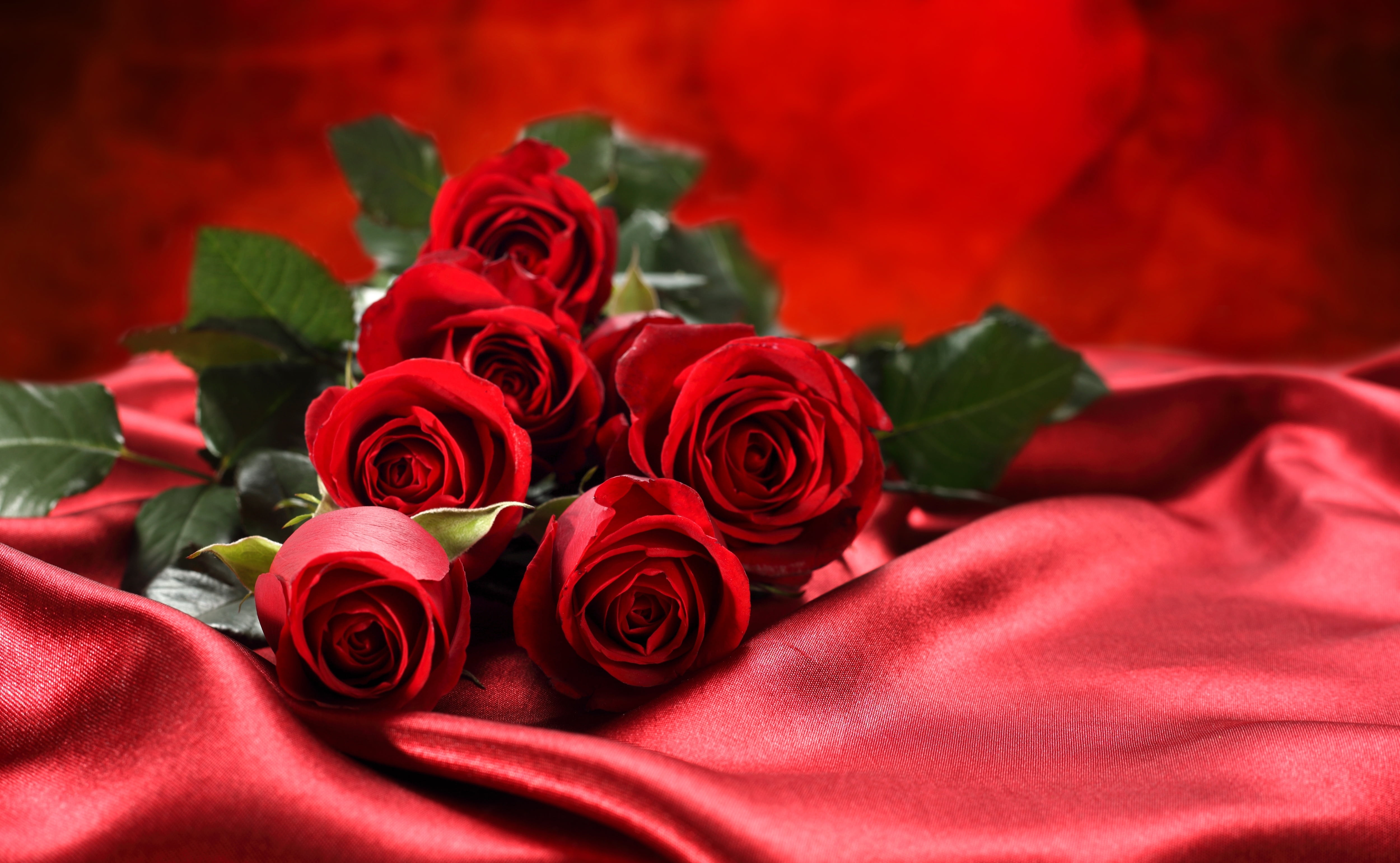 flower, bunch of flowers, red, softness, satin fabric, bouquet, single Flower, rose - Flower, wedding, anniversary, vulnerability, close-up, 4K, fragility, HD Wallpaper