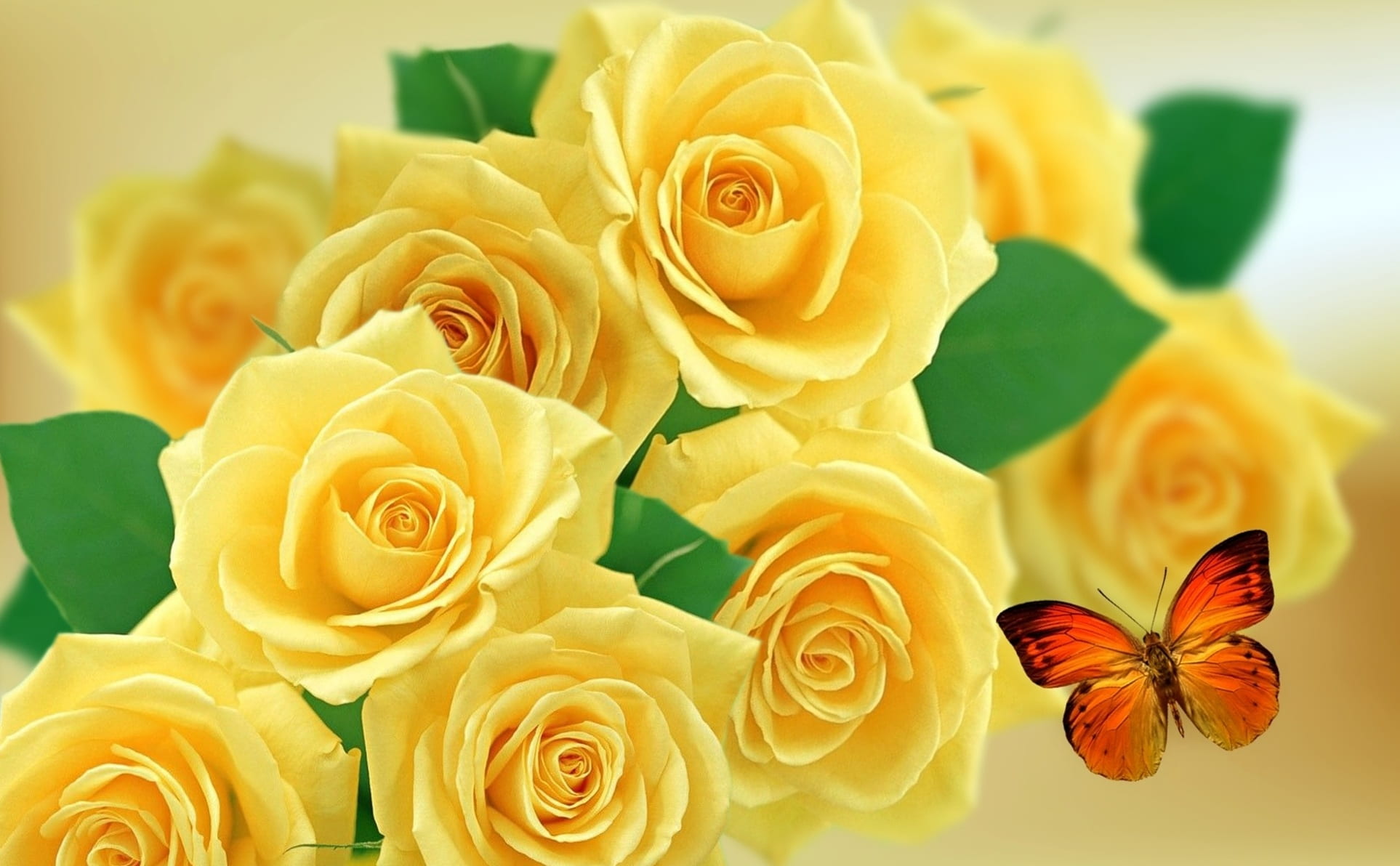 bunch of flowers, rose bush, garden, flower arrangement, rose, closeup, rose - flower, flowering plant, flower, beauty in nature, rosa, red, plant, roses, HD Wallpaper