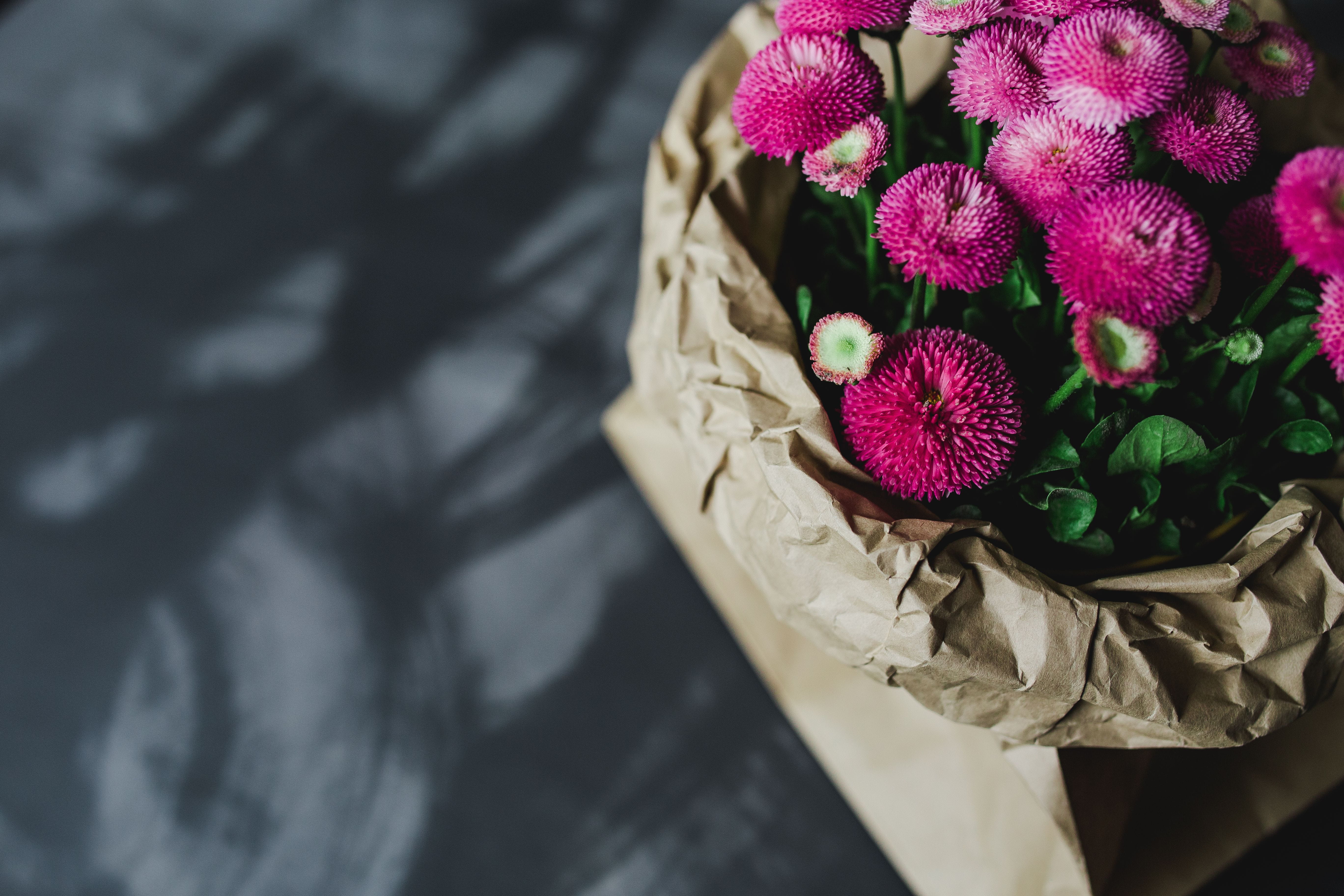 nature, plant, textile, close-up, miscellaneous, inflorescence, pink color, fragility, flower arrangement, vulnerability, close, bouquet, bunch of flowers, HD Wallpaper