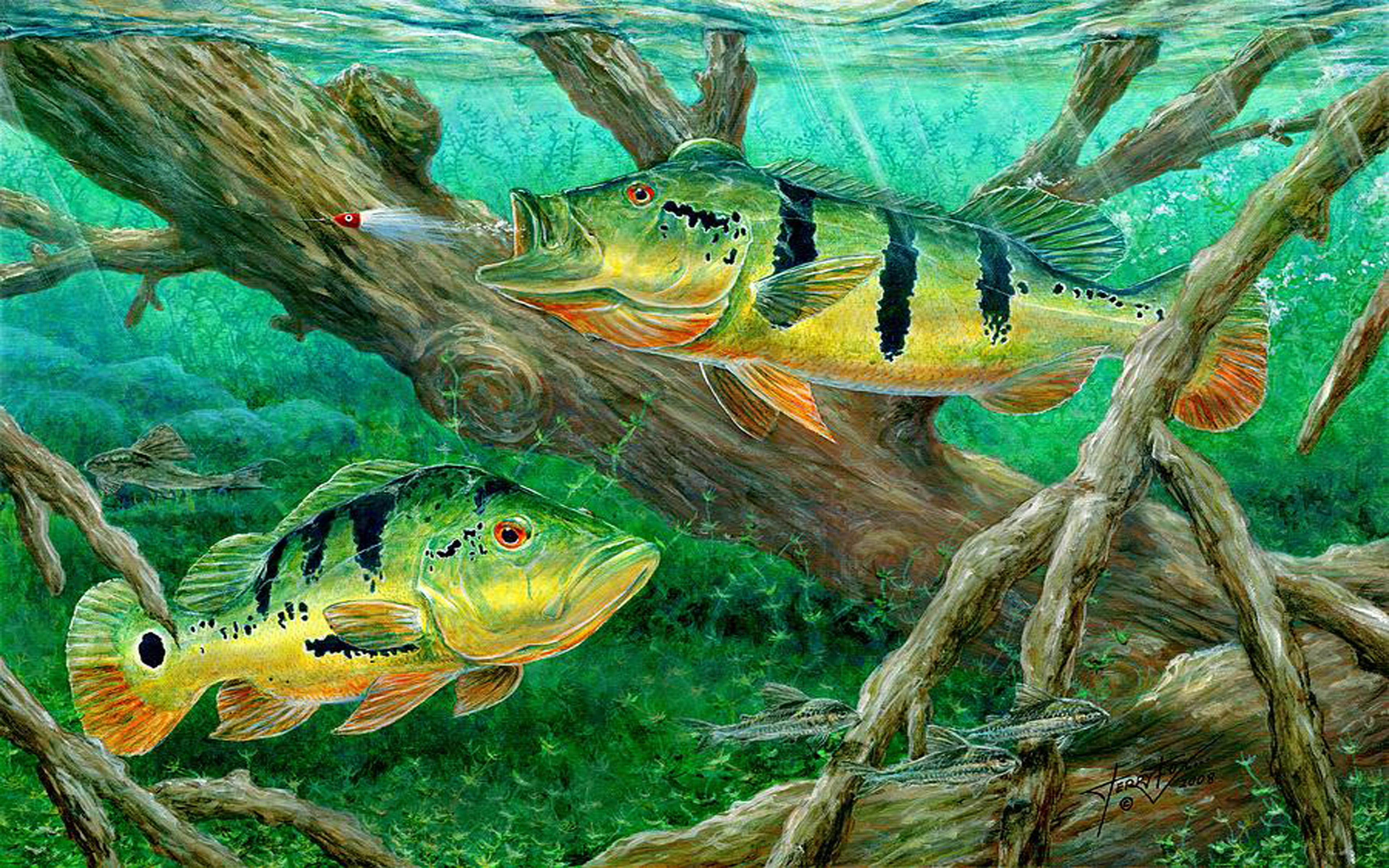 yellow, peacock, sea, fish, animal themes, 4K, undersea, animal, vertebrate, marine, canvas, animal wildlife, coral, hd, nature, swimming, bass, fishing, HD Wallpaper