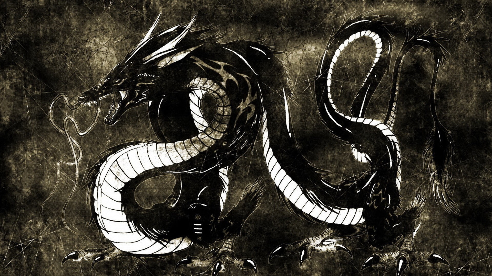 1080P, dragon, chinese dragon, HD Wallpaper