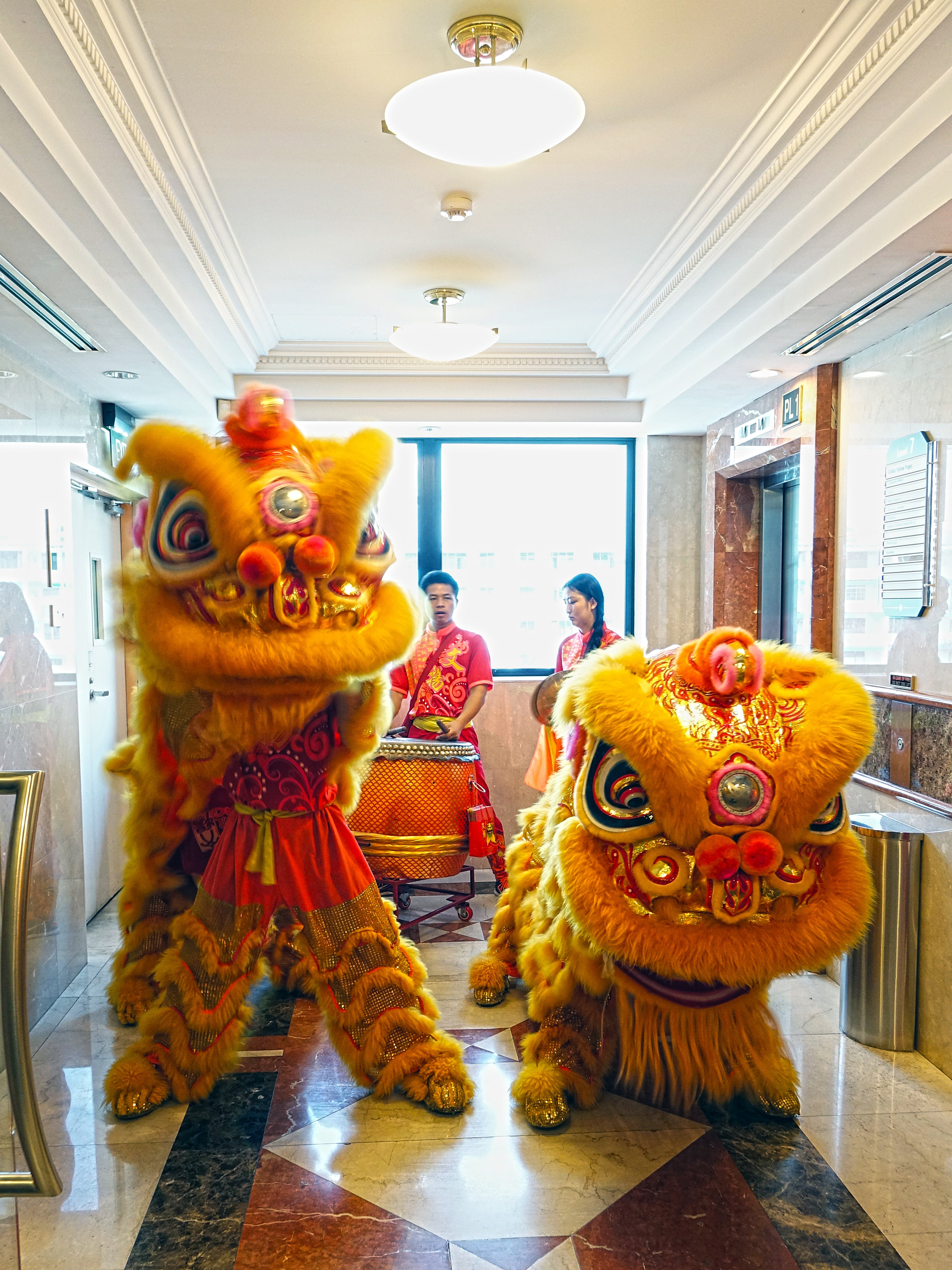 asian, representation, chinese, lighting equipment, tradition, creativity, window, dancing, indoors, 4K, lion dance, festival, ceiling, built structure, Phone HD Wallpaper