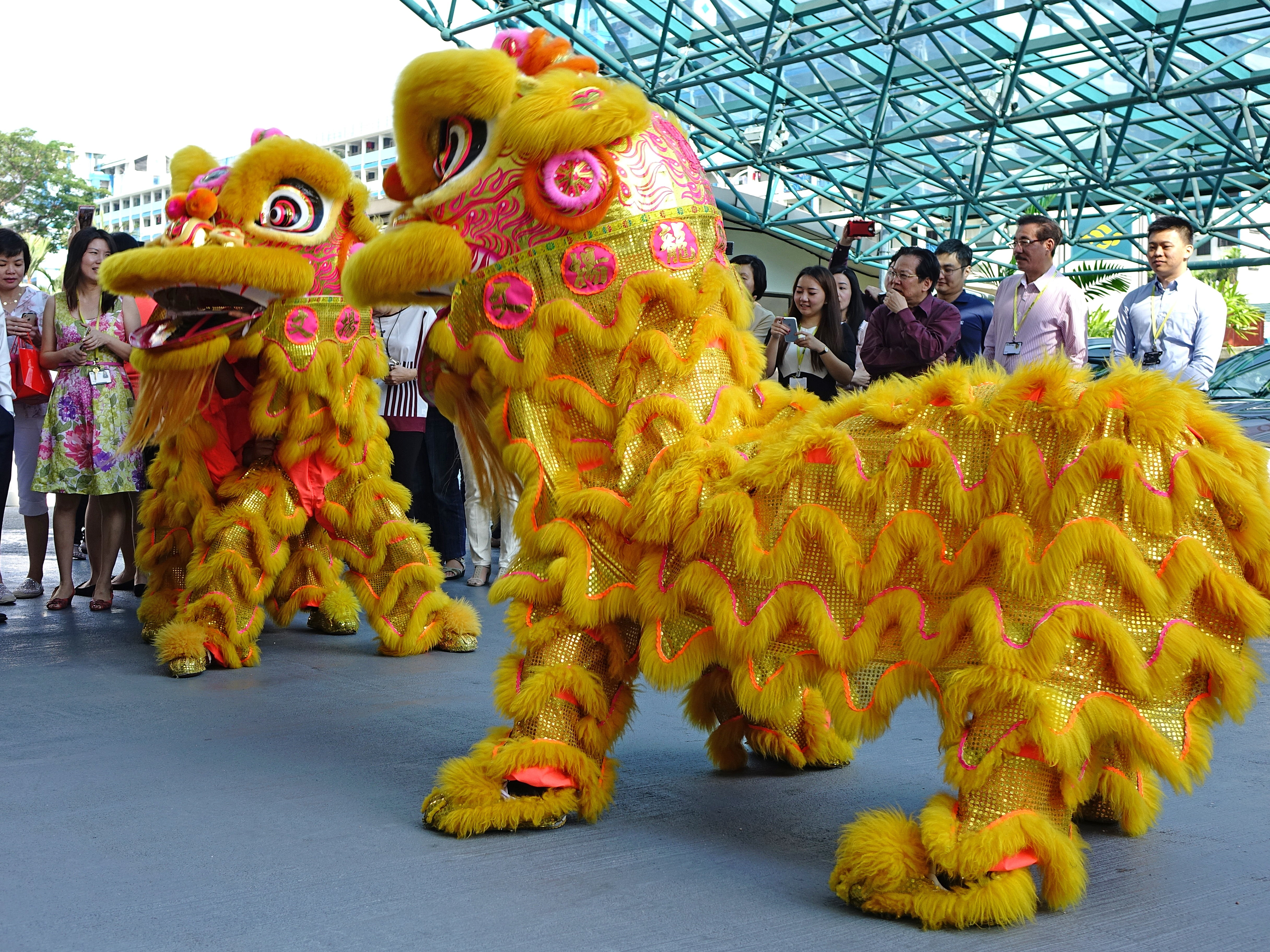 dancing, lunar, lion dance, celebration, new year, performance, festival, chinese, season, 4K, real people, group of people, yellow, carnival - celebration event, HD Wallpaper