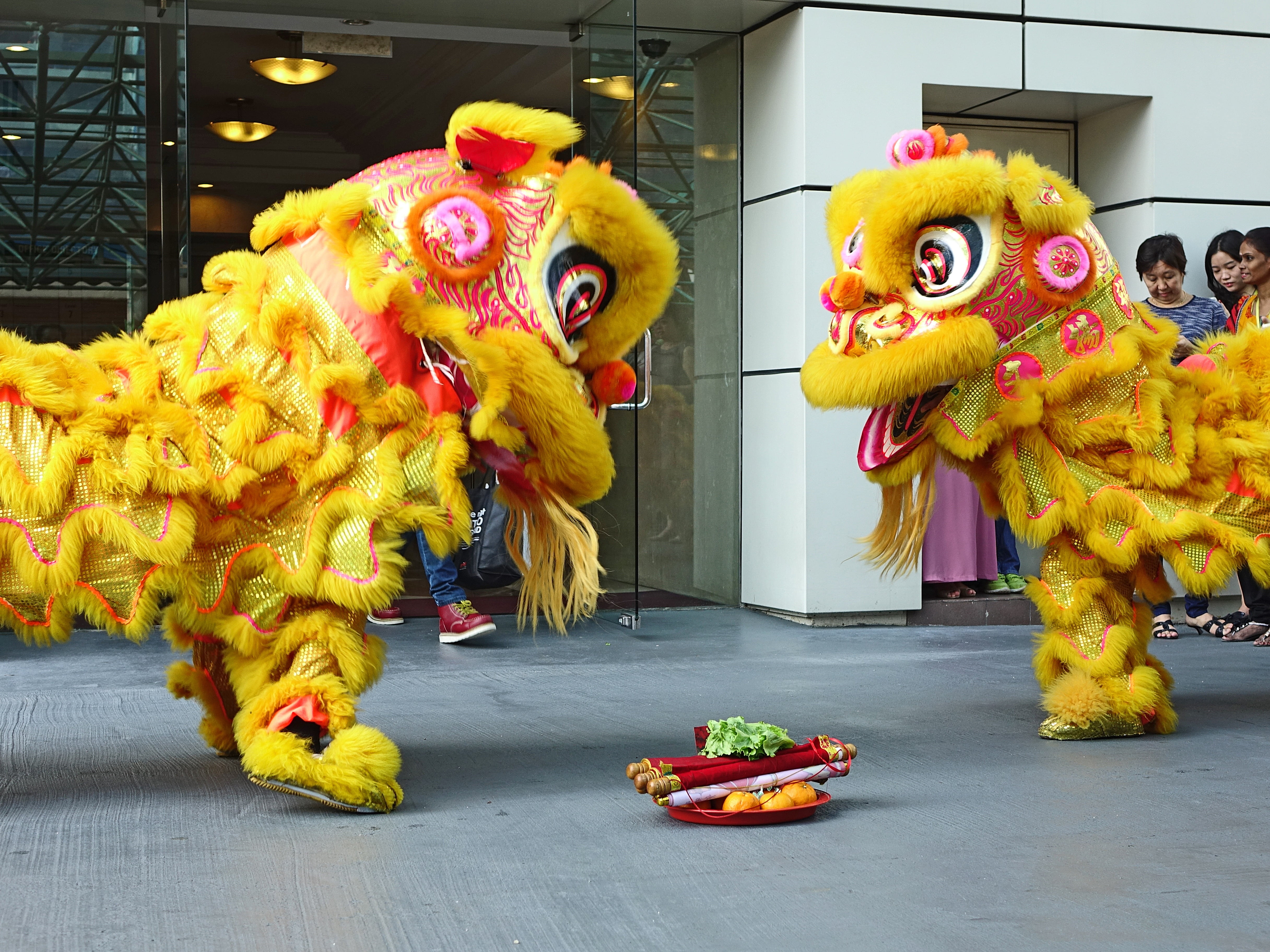 yellow, celebration, representation, lion dance, costume, chinese, festival, lunar, arts culture and entertainment, holiday, dancing, performance, event, HD Wallpaper