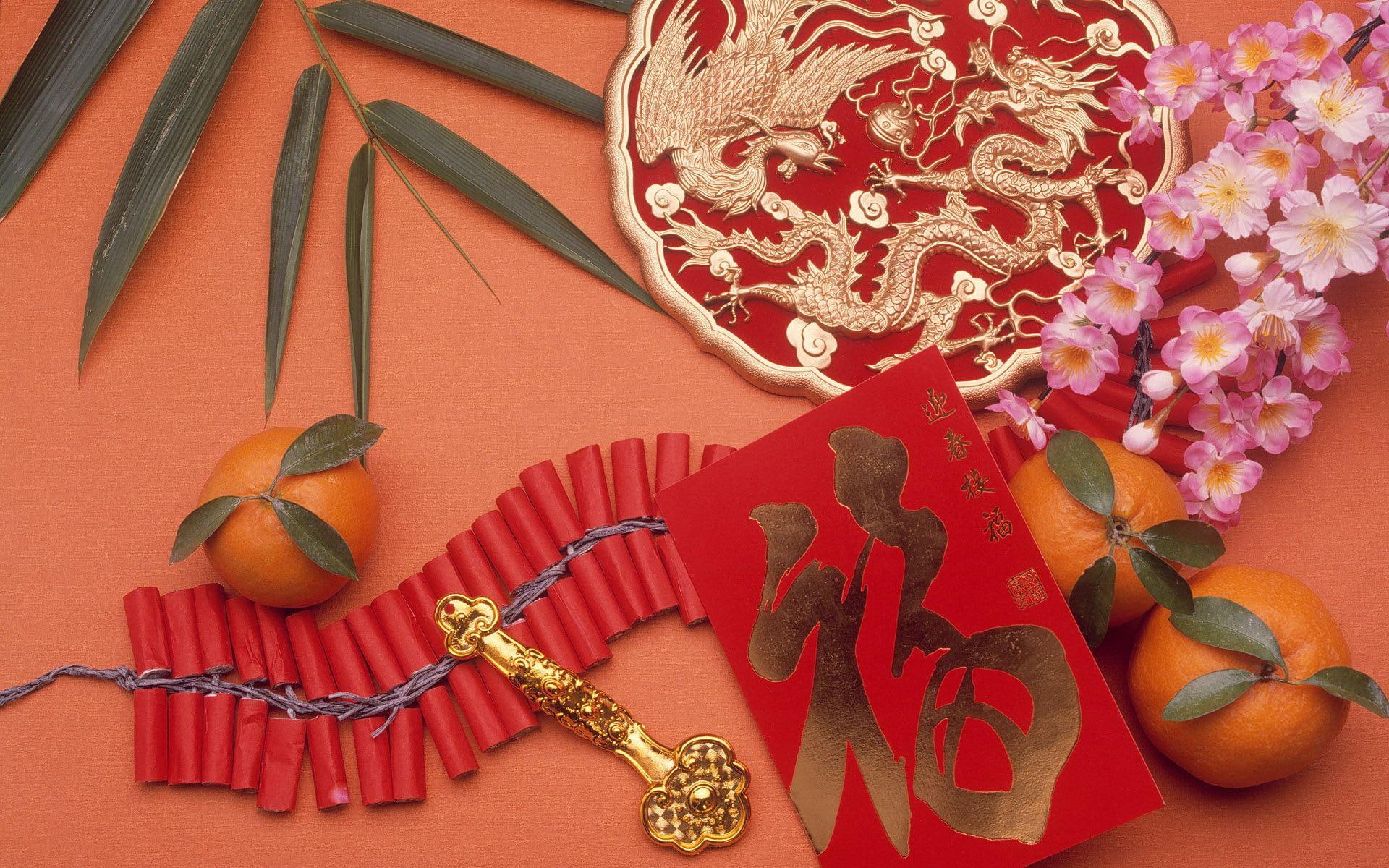 1080P, flower, orchid, new, new year, year, leaf, yellow, green, golden, fireworks, happy, dragon, orange, chinese, HD Wallpaper