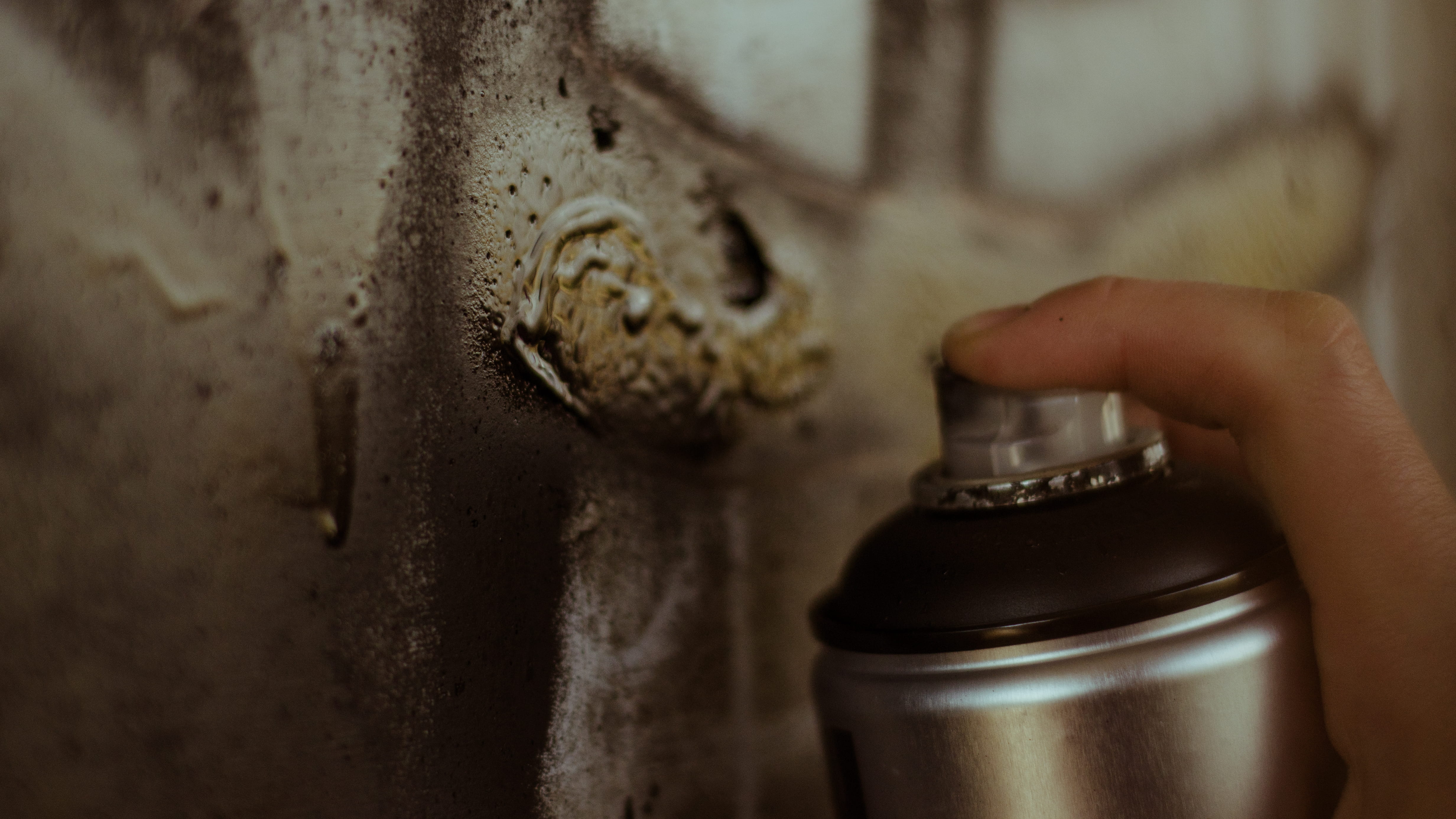graffiti, craft, caucasian, metal, holding, graffity, wall, drink, old, brick, human face, bottle, food and drink, focus on foreground, people, indoors, HD Wallpaper