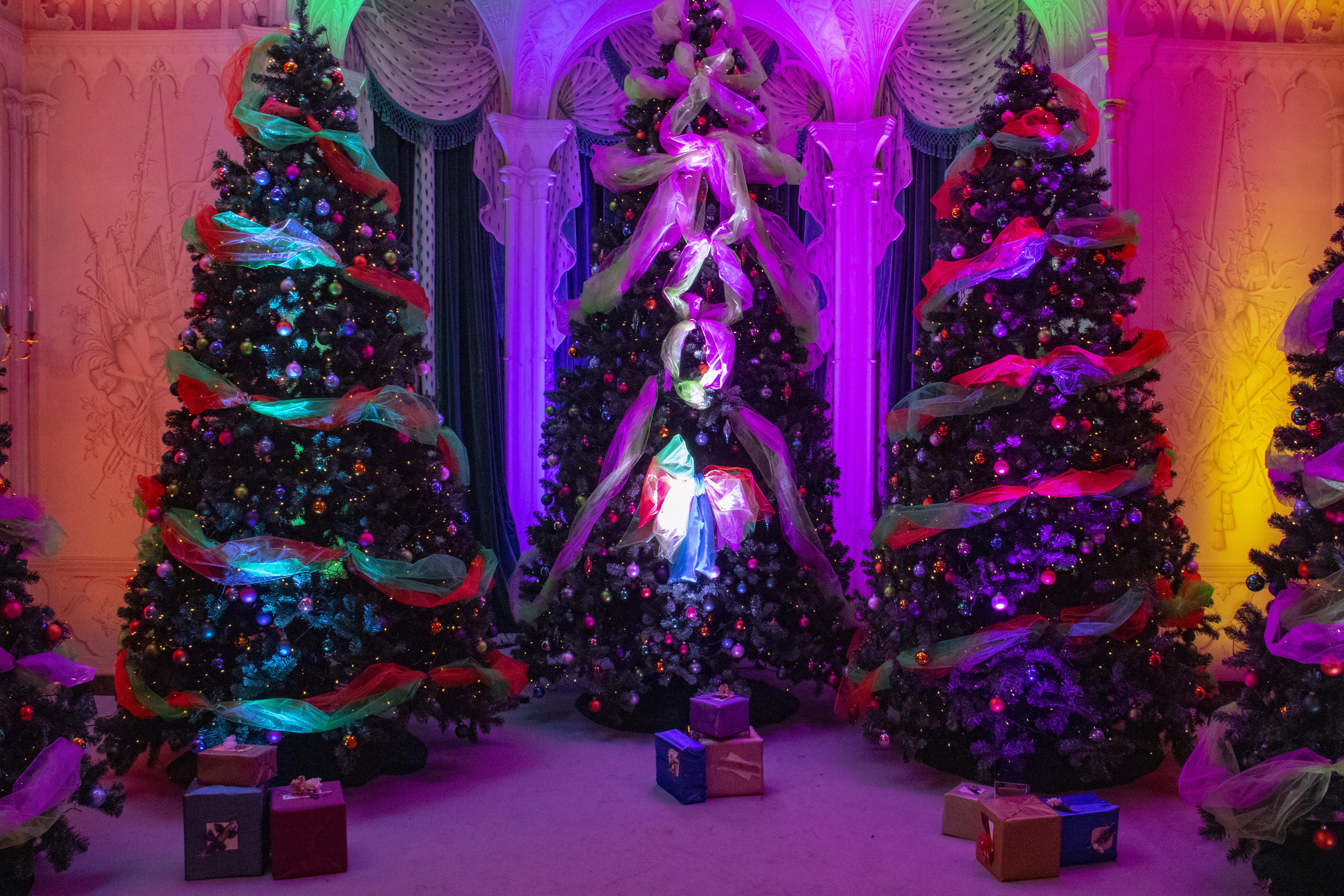 mottisfont house, christmas tree, purple, decoration, baubles, indoors, 5K, plant, gifts, ornament, decorations, romsey, architecture, lights, flower, HD Wallpaper