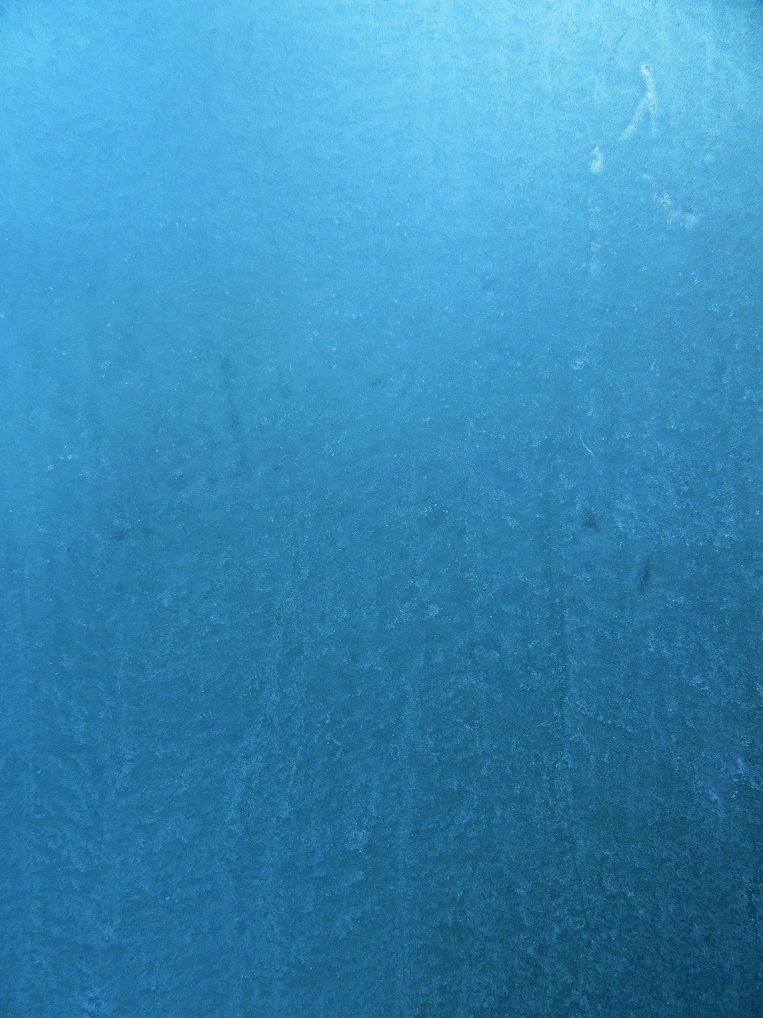 outdoors, spandex, clean, animal, paper, 2K, close-up, tissue, towel, abstract, beauty in nature, nature, backgrounds, reef, undersea, paper towel, texture, Phone HD Wallpaper