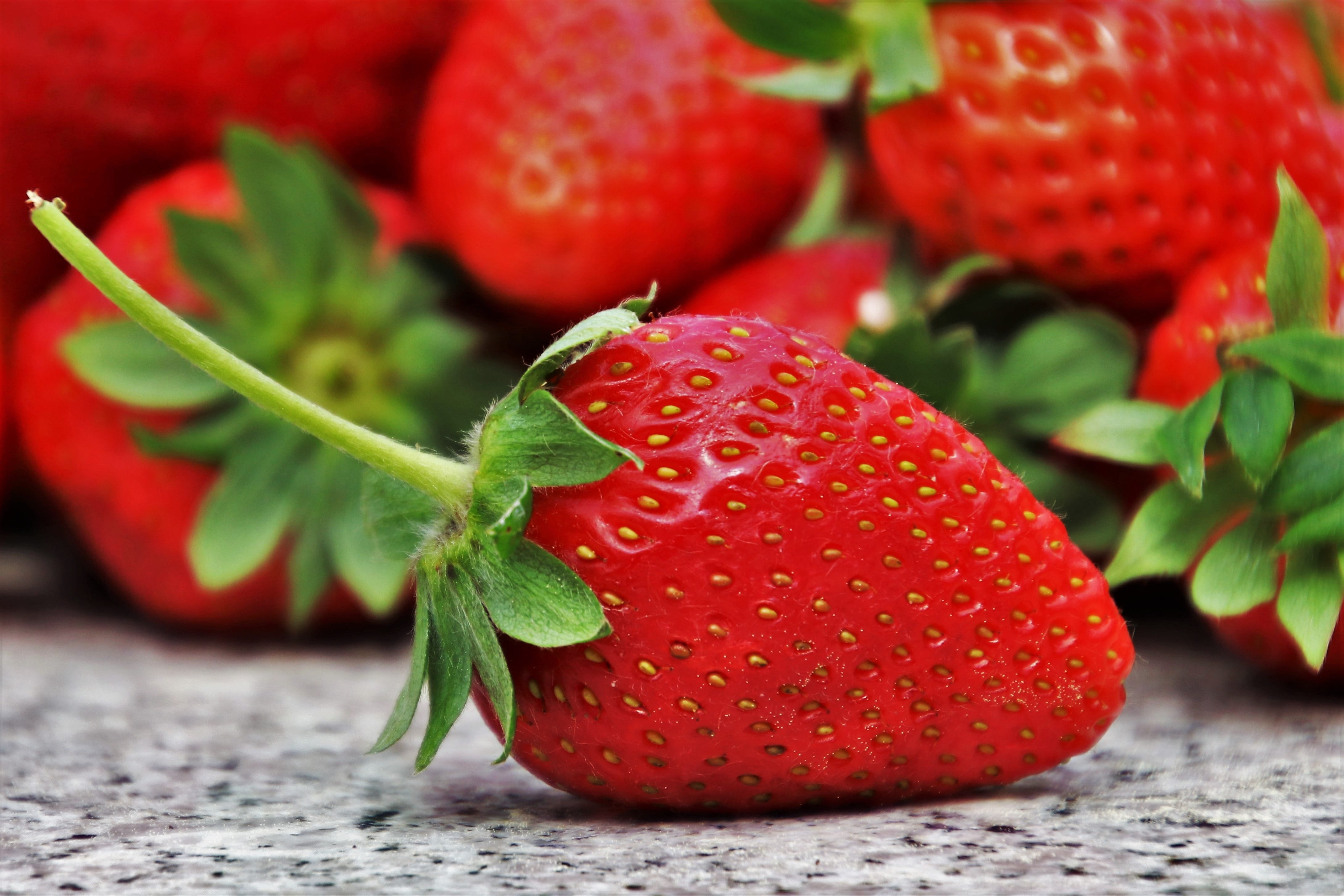 season, diet, sweet dish, juicy, dessert, photography, group of objects, called rothmans, day, a healthy diet, wellbeing, food and drink, focus on foreground, HD Wallpaper
