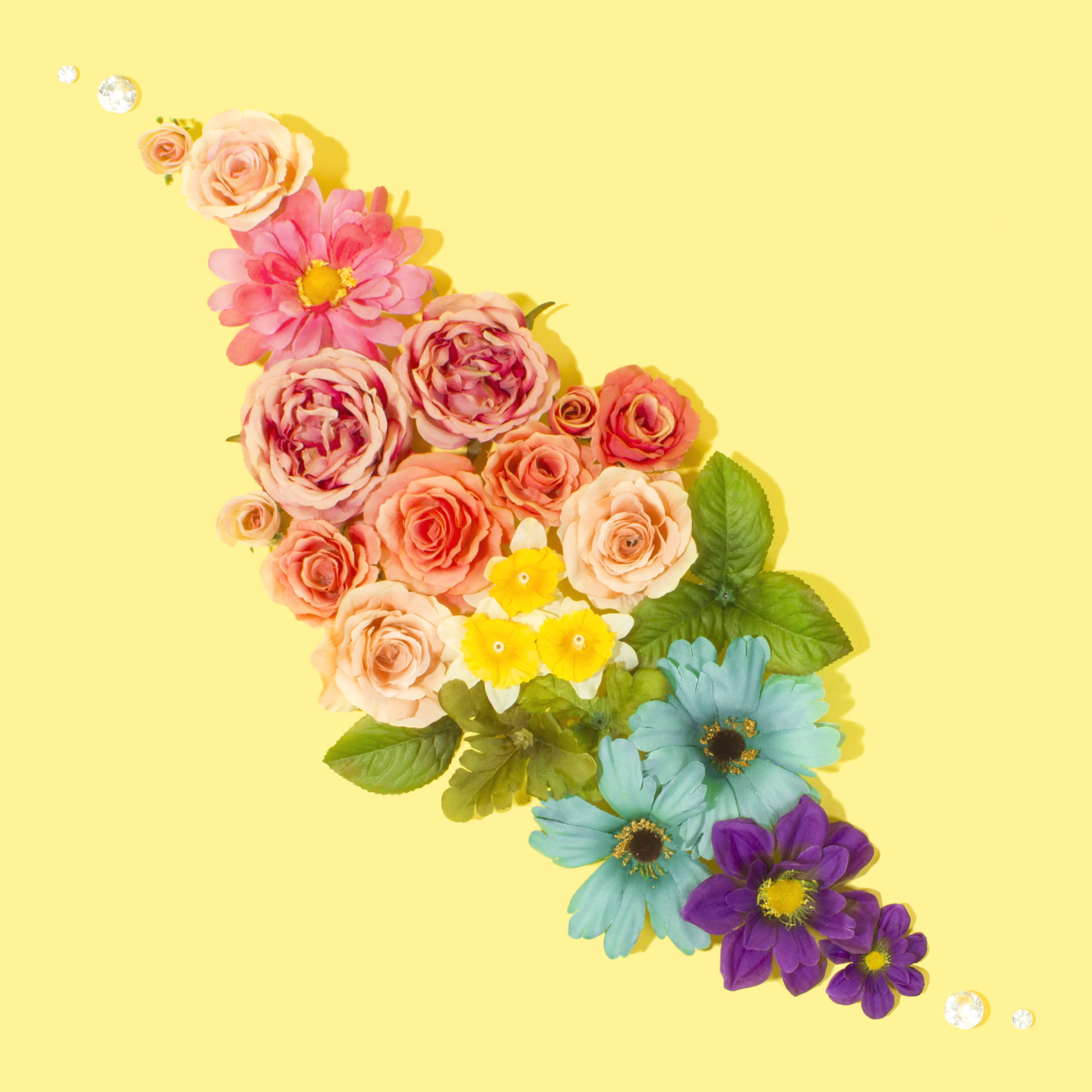 flower arrangement, beauty in nature, leaf, floral, floral pattern, positive, studio shot, 2K, pink color, blue, flowering plant, bouquet, inflorescence, Phone HD Wallpaper
