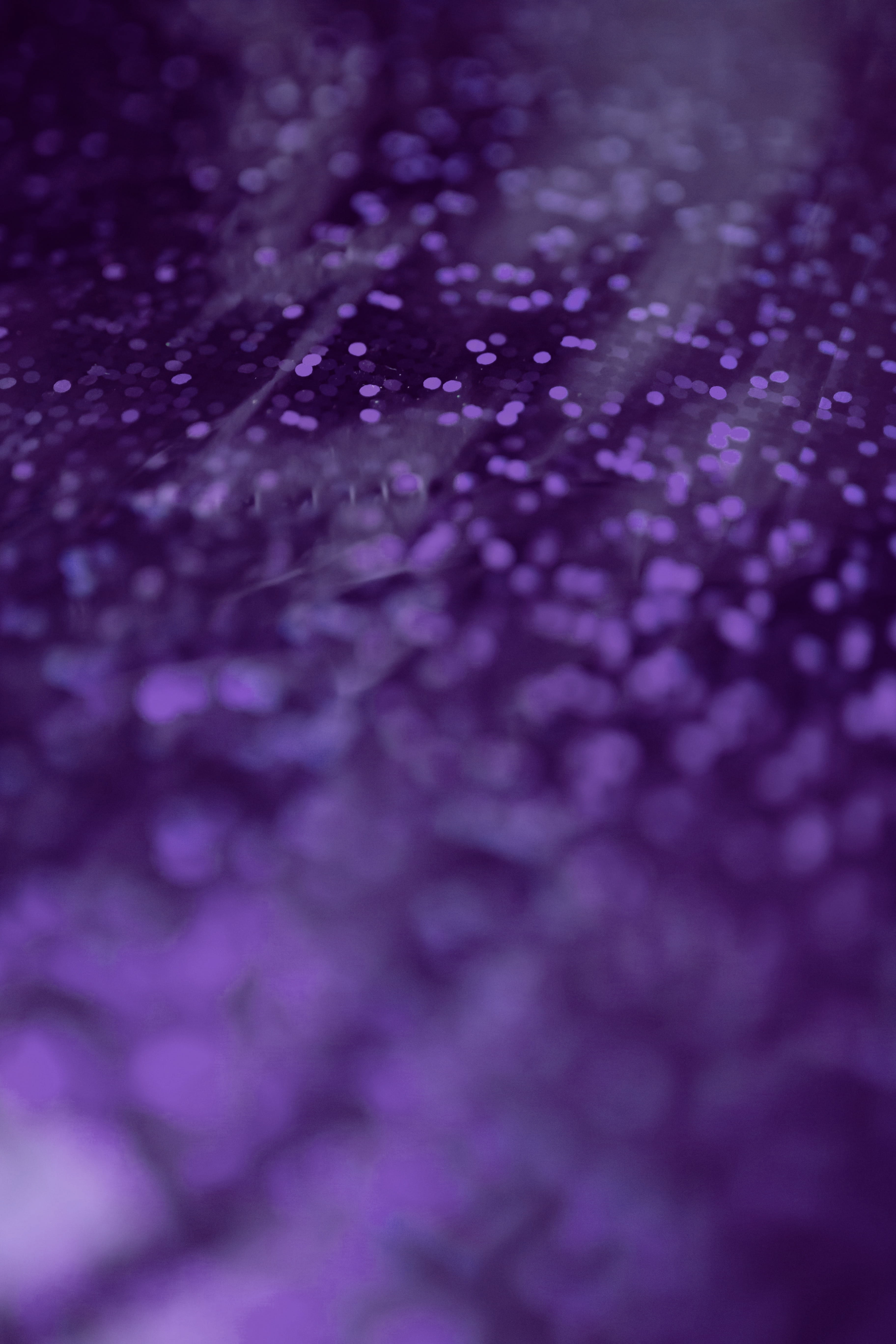 ultra violet, mineral, nature, copy space, violet, colour of the year, indoors, 5K, studio shot, full frame, softness, flower, color of the year, ultra, Phone HD Wallpaper