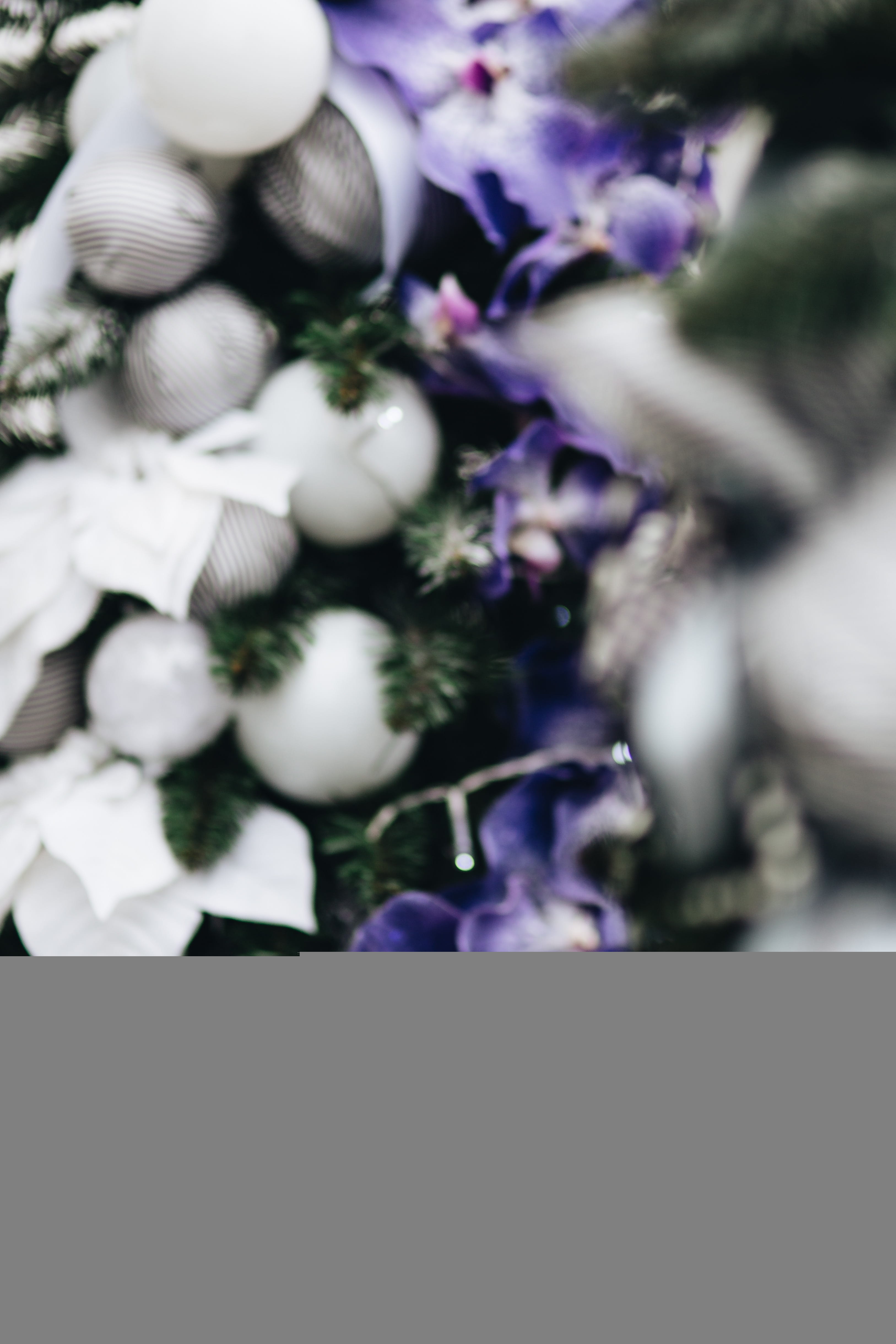pantone 2018, colors, close-up, flowering plant, fragility, vulnerability, pantone, day, beauty in nature, year, ultra, purple, flower, high angle view, Phone HD Wallpaper