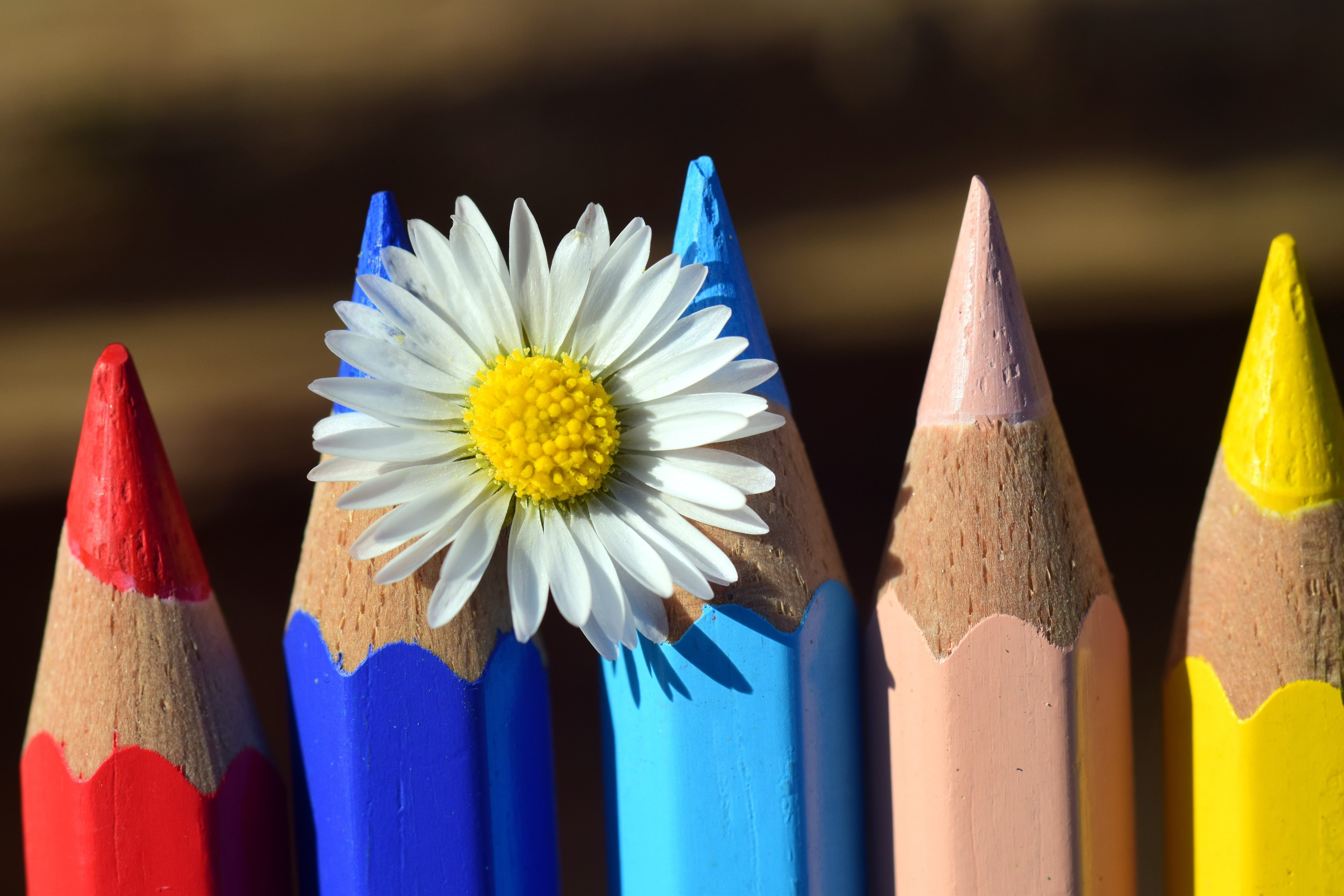 writing instrument, studio shot, wood - material, cheerful, black background, crayons, colored pencils, colored pencil, white, freshness, indoors, pencil, HD Wallpaper