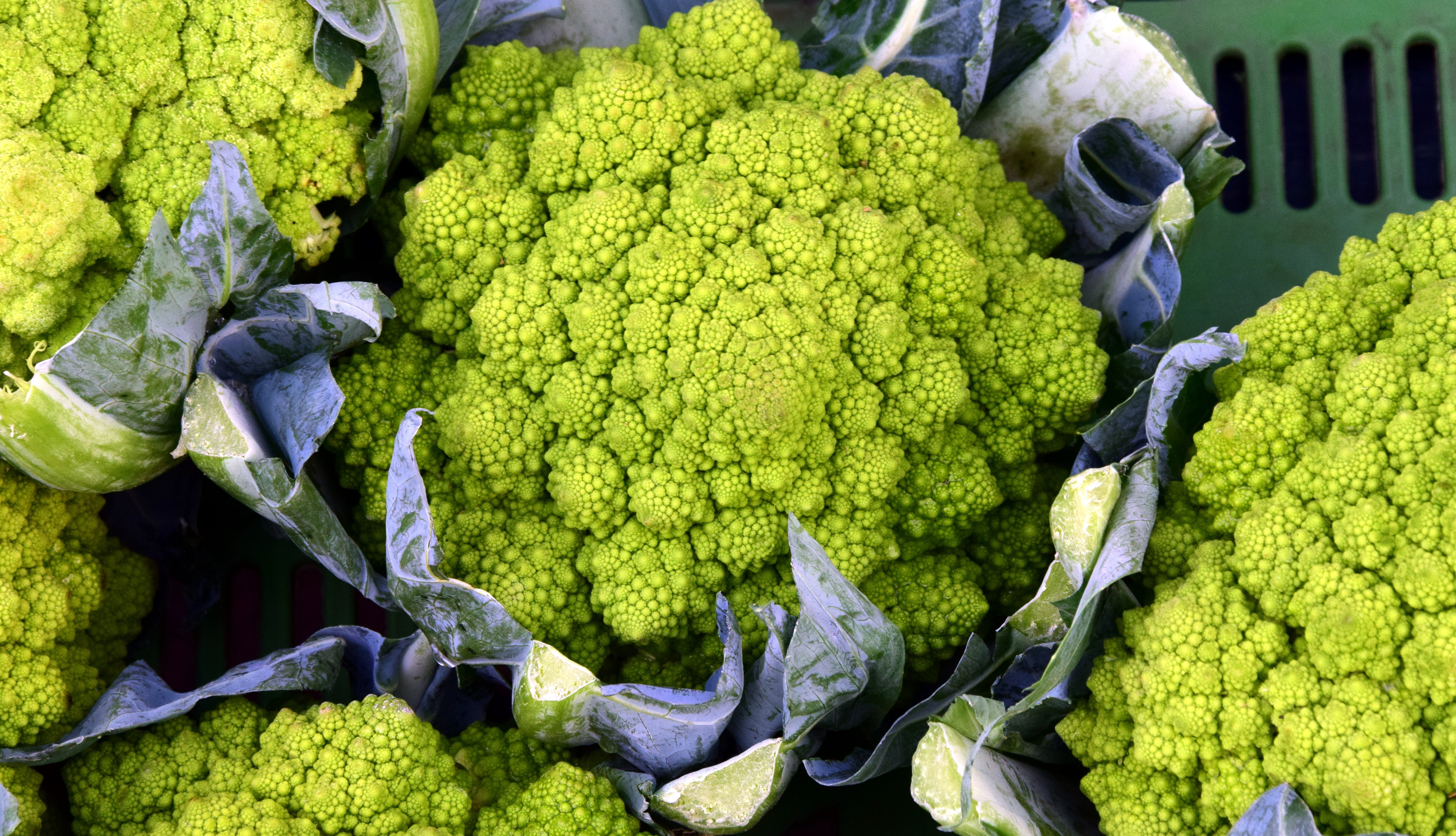 high angle view, food And Drink, nature, market, ingredient, organic, freshness, abundance, vegetable stand, close-up, dieting, agriculture, healthy Eating, HD Wallpaper