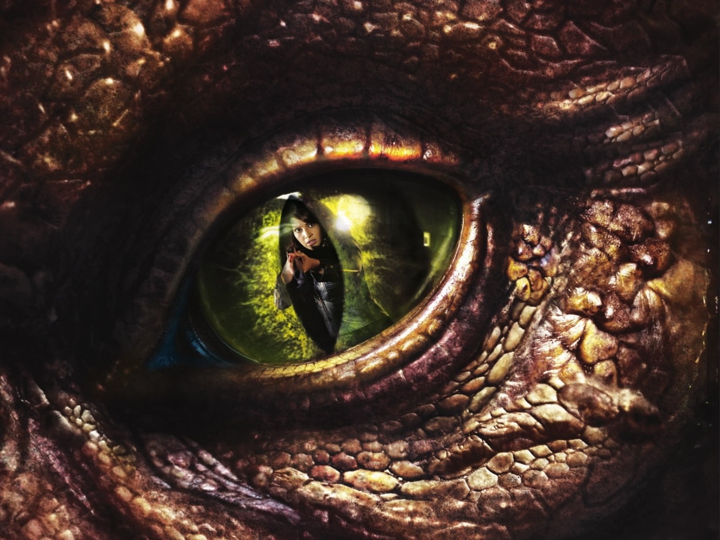 2014, 720P, Bollywood Movies, bollywood, mirror, adult, creature, green, reflection, close-up, looking, animal, one person, nature, d, eyeball, Movies, HD Wallpaper