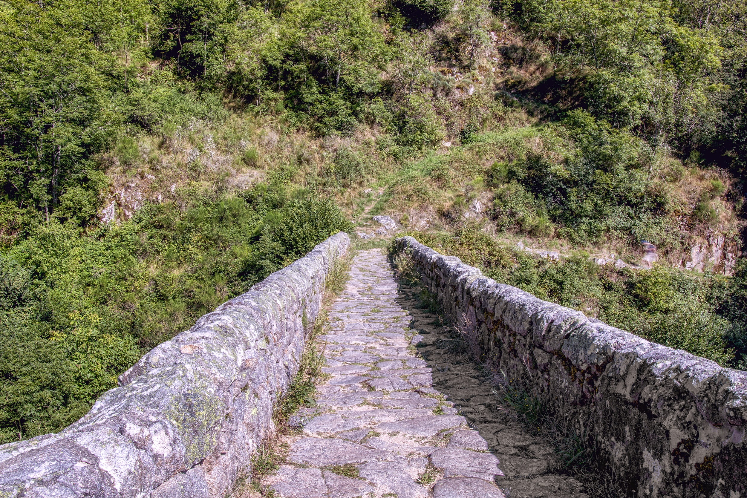 grass, diminishing perspective, outdoors, bridge, environment, day, field, growth, plant, tranquility, devils bridge, the way forward, tree, trail, auvergne, HD Wallpaper