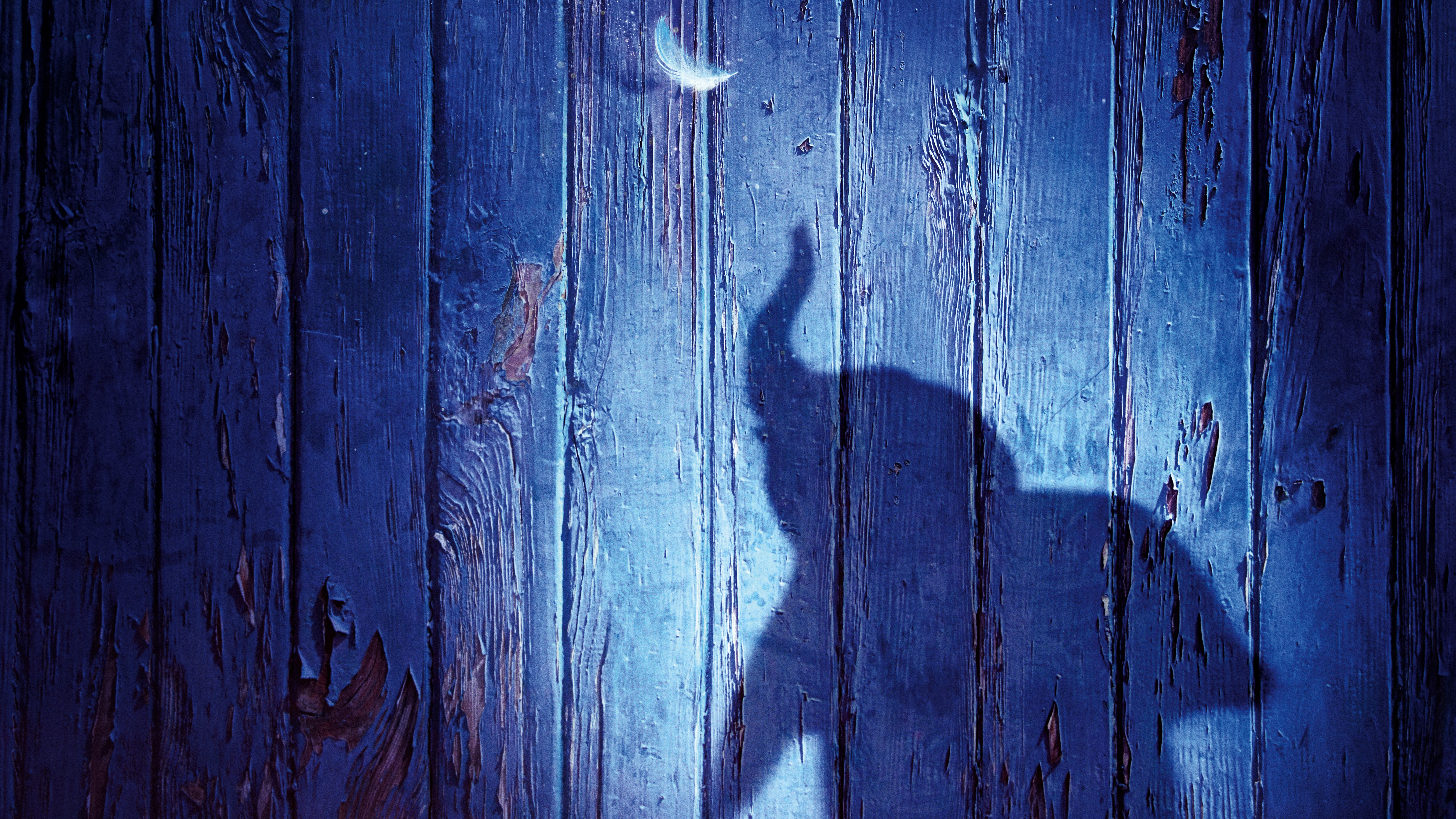 2019, 8K, Dumbo, k, Animation, Movie, HD Wallpaper