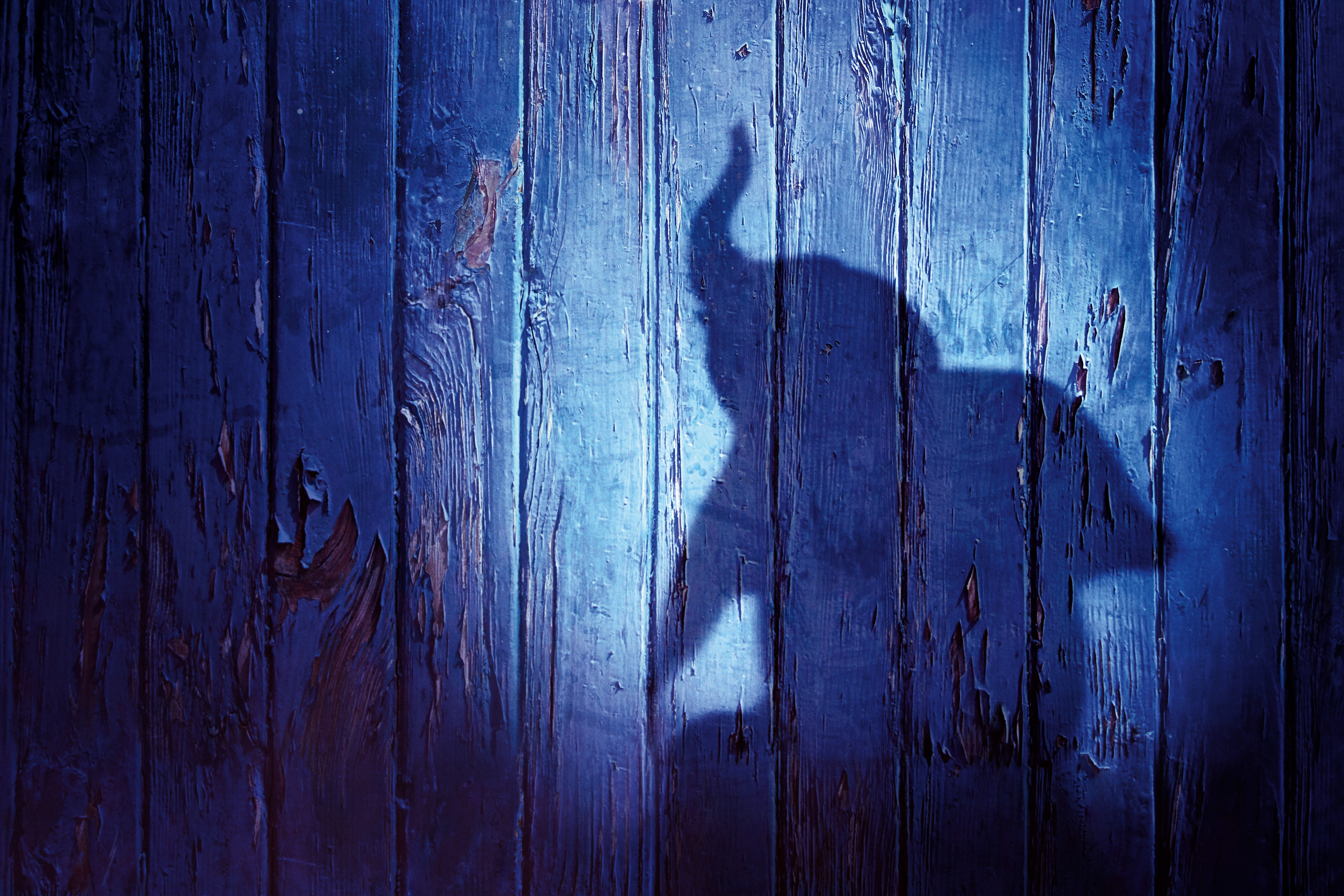5K, 5K, 2019, Animation, Dumbo, HD Wallpaper