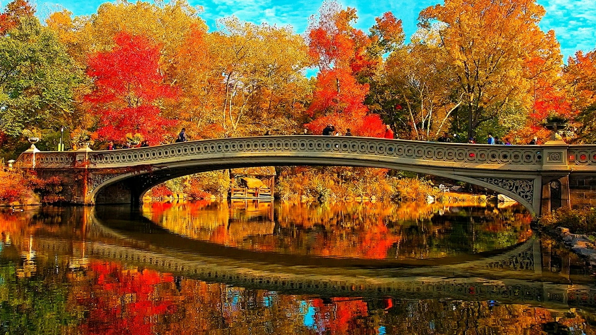 bow bridge, 1080P, manhatten, tourist attraction, bridge - man made structure, new york city, sky, united states, change, evening, built structure, plant, HD Wallpaper