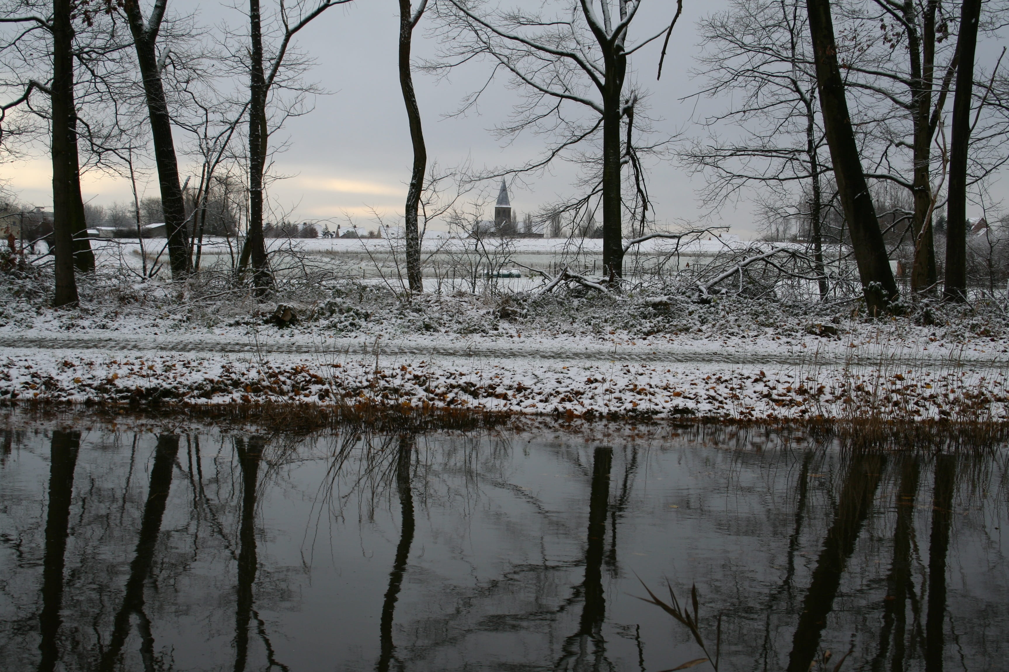 trunk, lake, sky, outdoors, Field, beauty in nature, Ypres, water, field, non-urban scene, tree, nature, reflection, land, plant, 2K, Flanders, Winter, HD Wallpaper