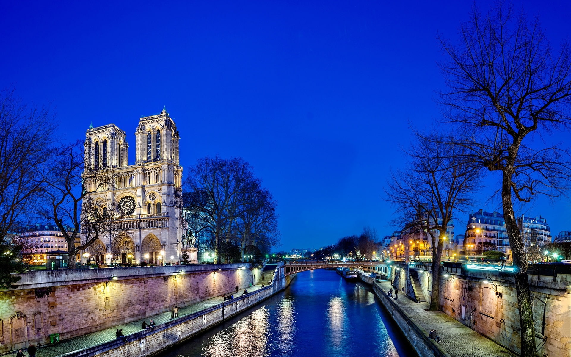 Paris, Bridge, dame, Lights, notre, 1080P, France, River, Trees, City, Night, de, HD Wallpaper
