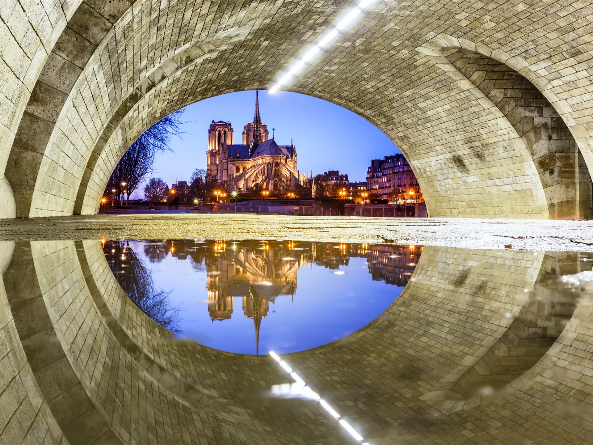Under, France, Notre, brown, Dame, 1080P, Reflection, tunnel, Bridge, Cathedral, Paris, Water, HD Wallpaper