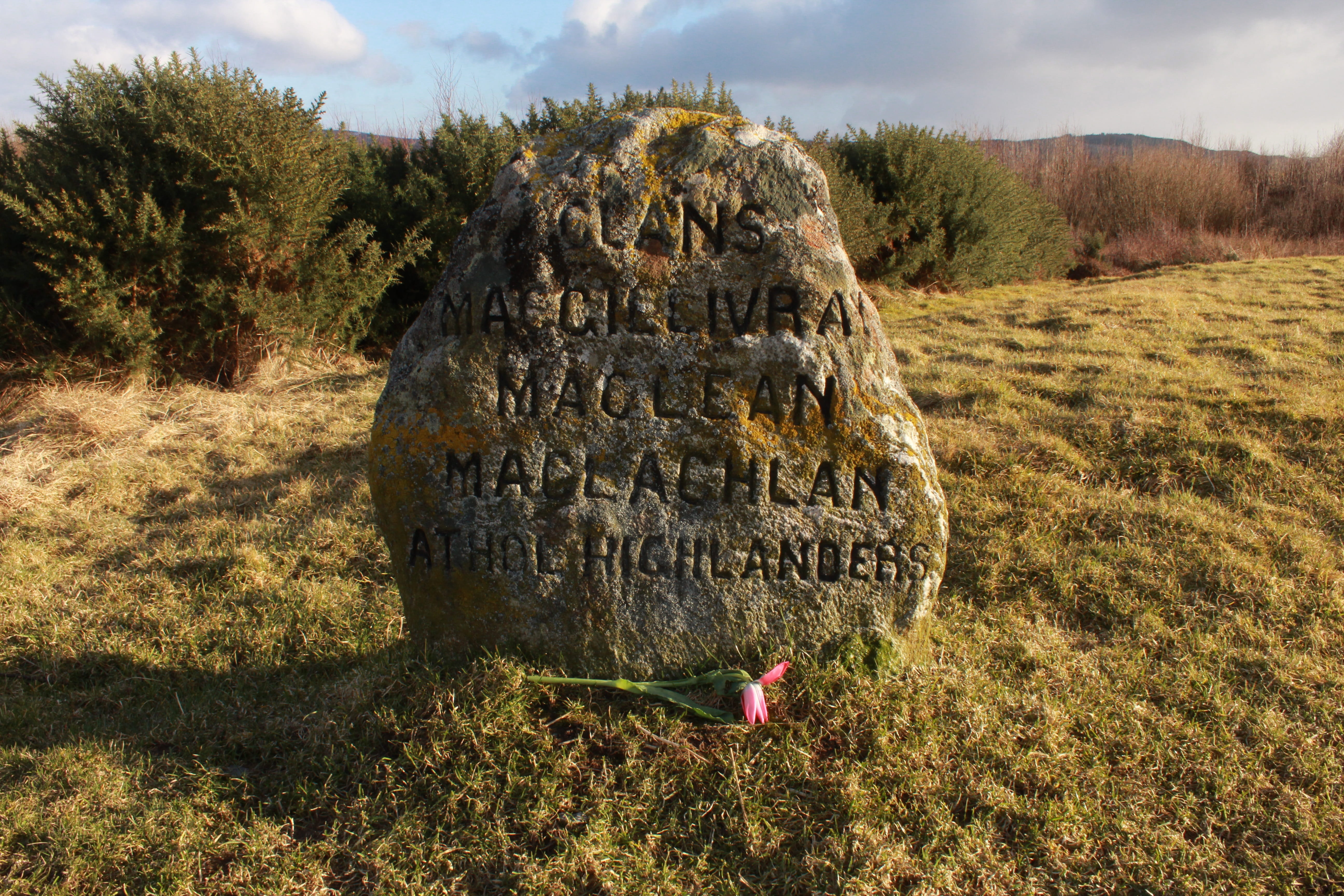 jacobite, plant, headstone, environment, grass, field, cloud - sky, scotland, non-urban scene, sunlight, tree, growth, inverness, land, 5K, day, rock - object, HD Wallpaper