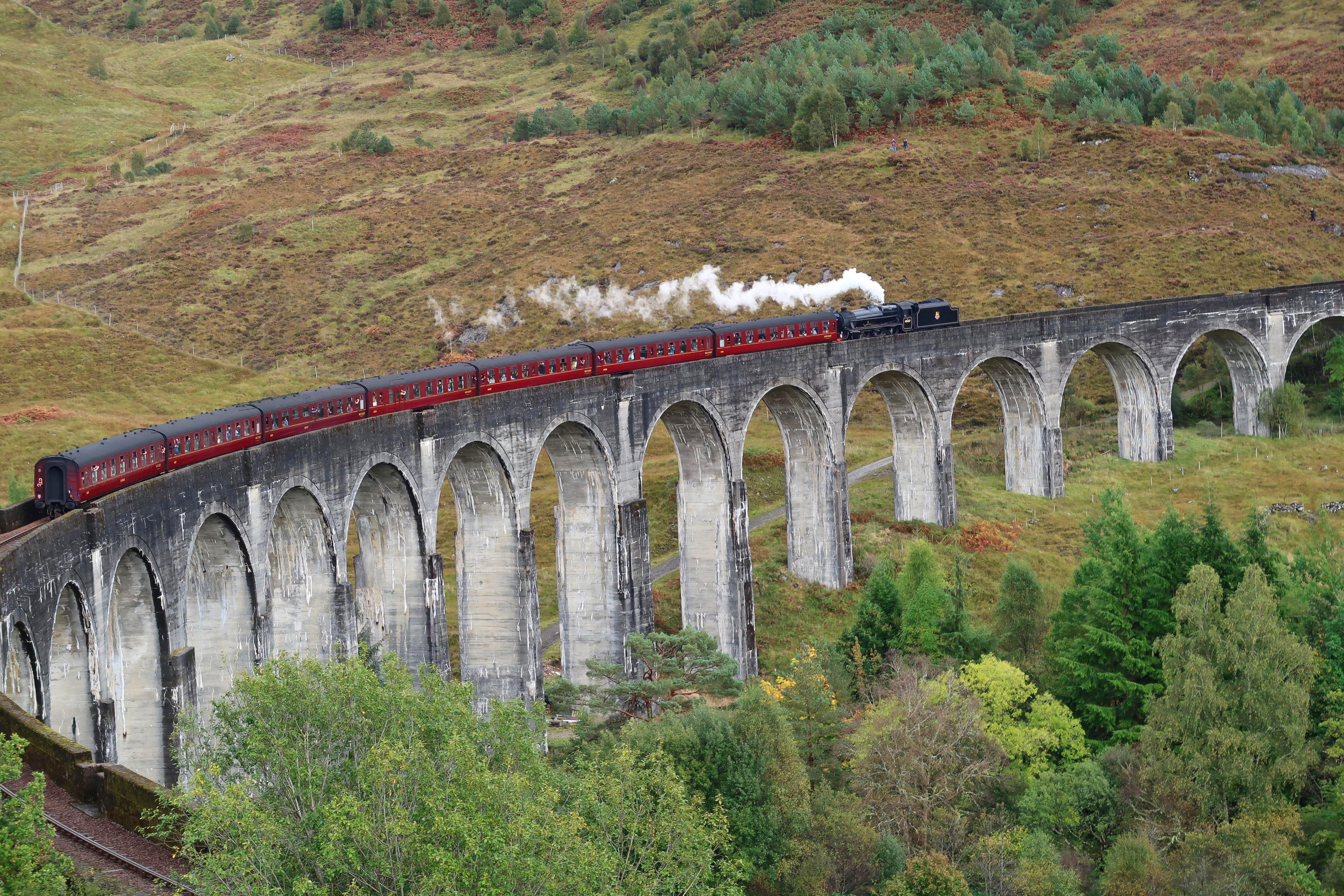 railway bridge, arch bridge, growth, train - vehicle, rail transportation, no people, stone, glenfinnan, mode of transportation, day, connection, plant, HD Wallpaper