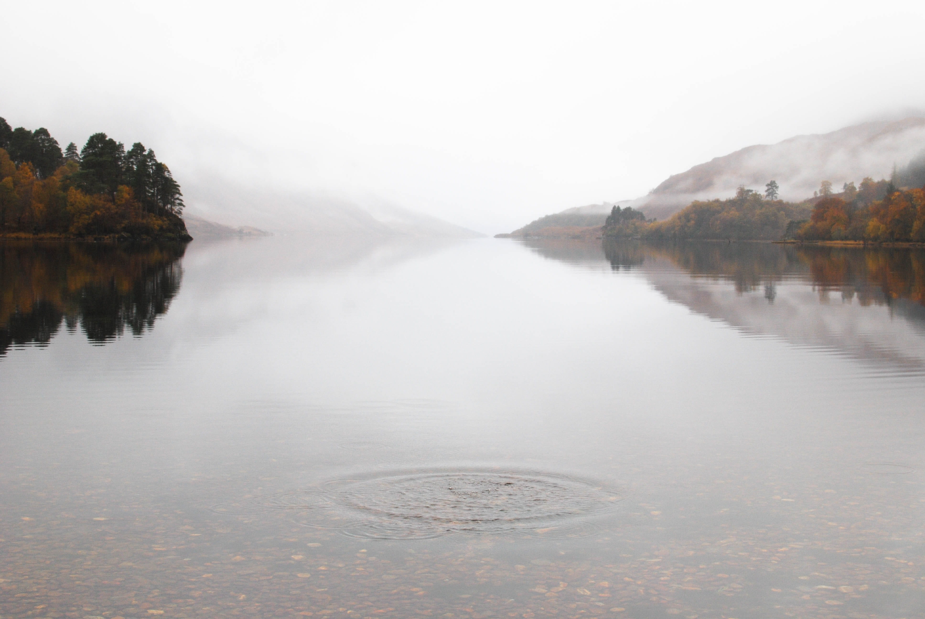 outdoors, tranquility, waterfront, scenics - nature, plant, beauty in nature, idyllic, nc500, water, lake, scenery, mountain, day, loch, landscape, land, HD Wallpaper