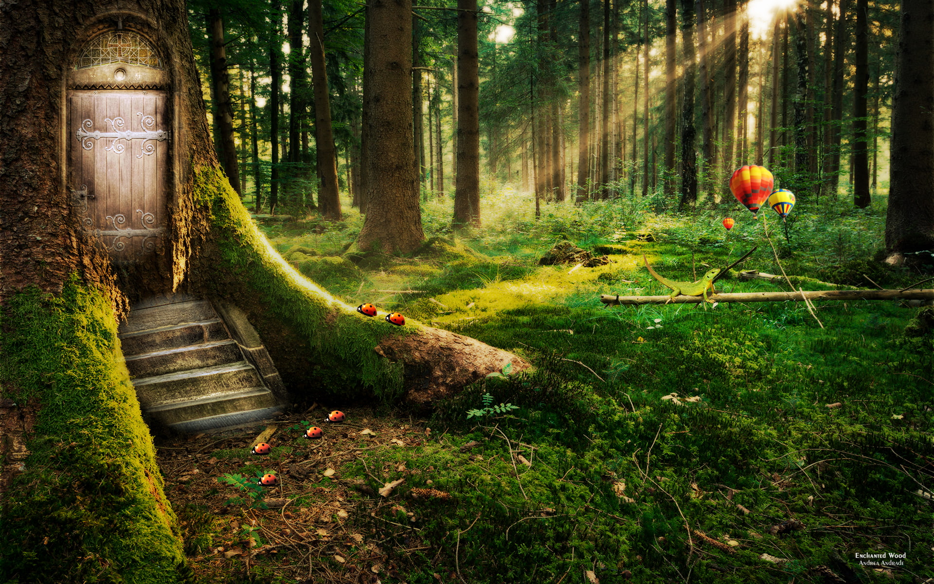 forest, 1080P, enchanted, HD Wallpaper