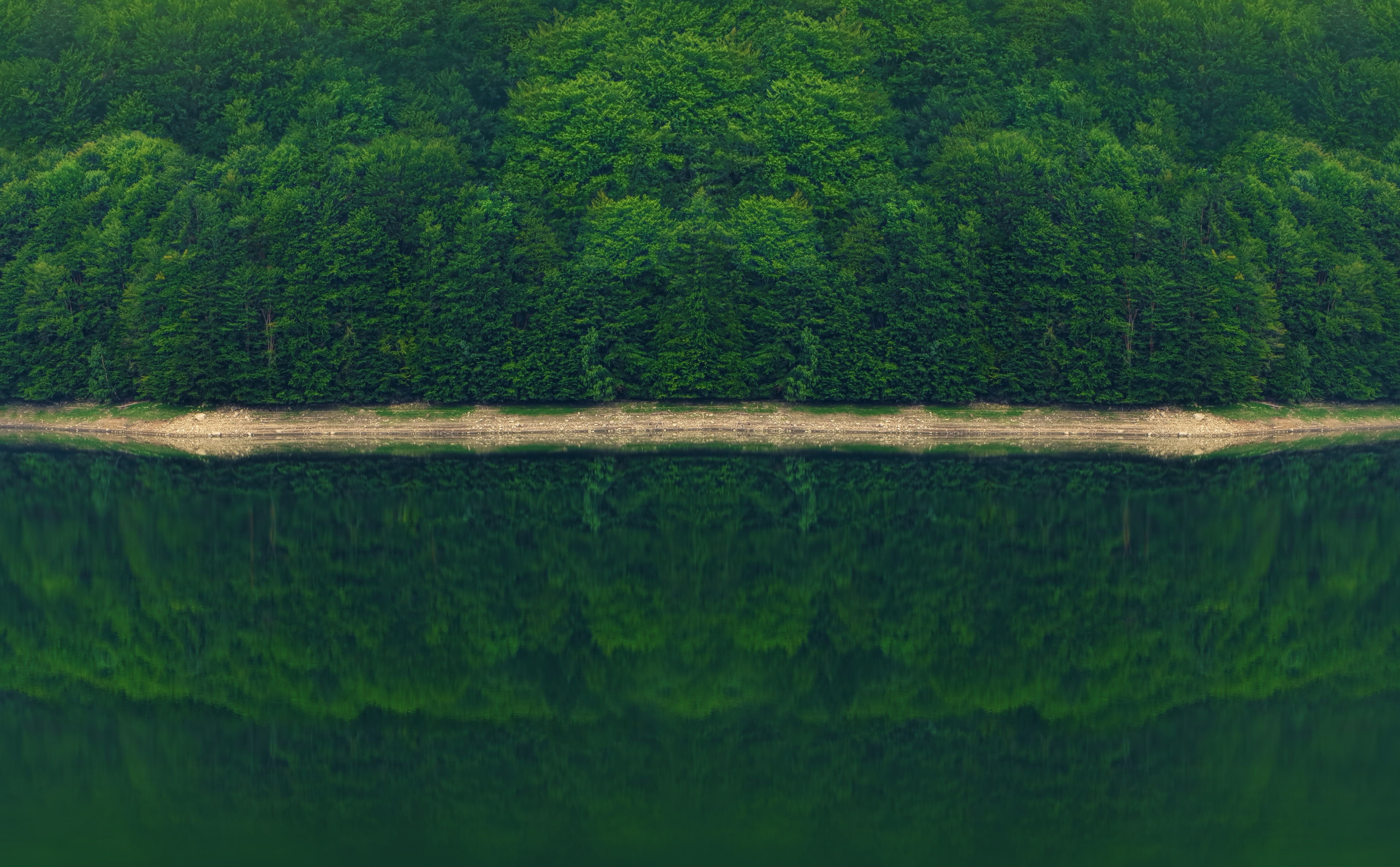 likeness, trees, waterfront, foggy, dark, river, 2015, tranquility, face, scenics - nature, tranquil scene, summer, swamp, non-urban scene, beauty in nature, HD Wallpaper