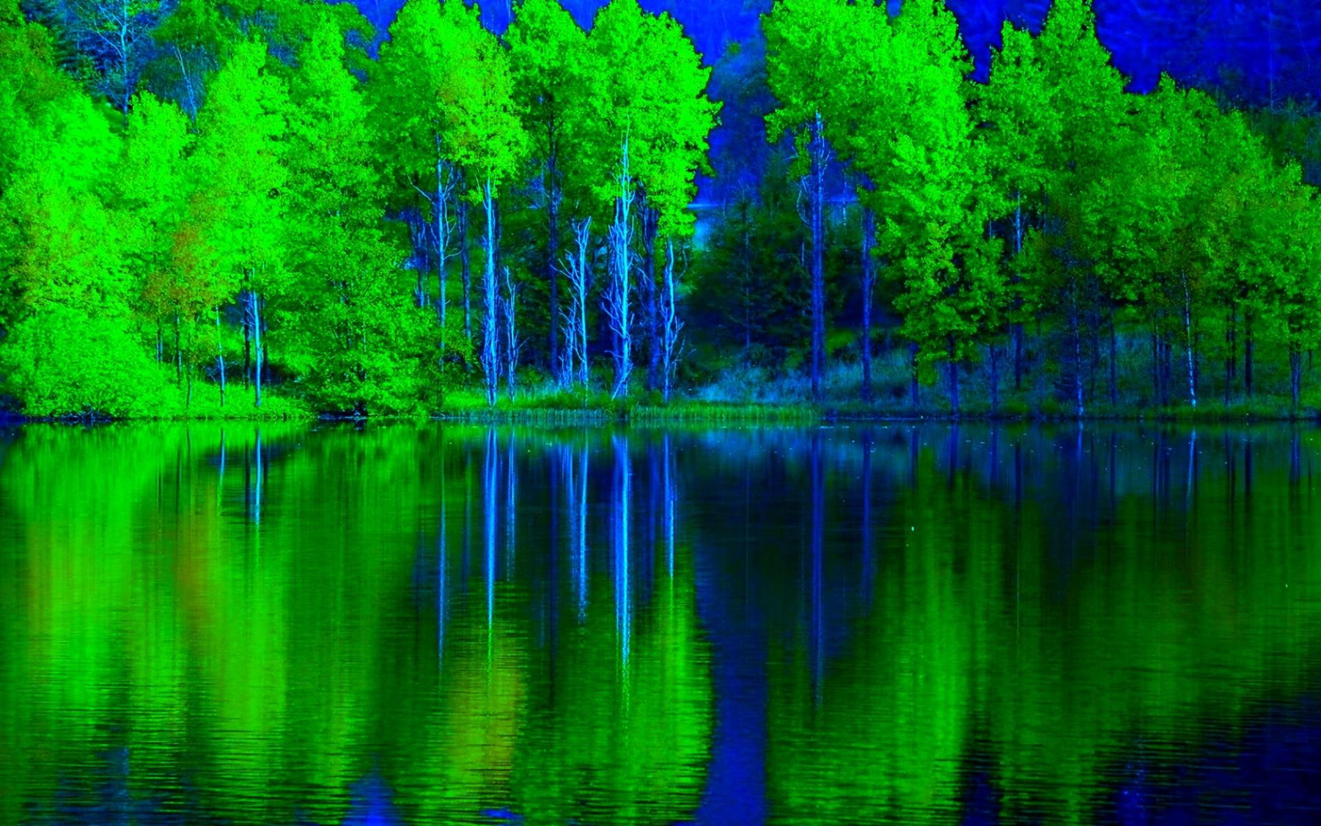 lakes, 1080P, lake, nature and landscapes, forests, enchanting, forest, green, reflection, HD Wallpaper