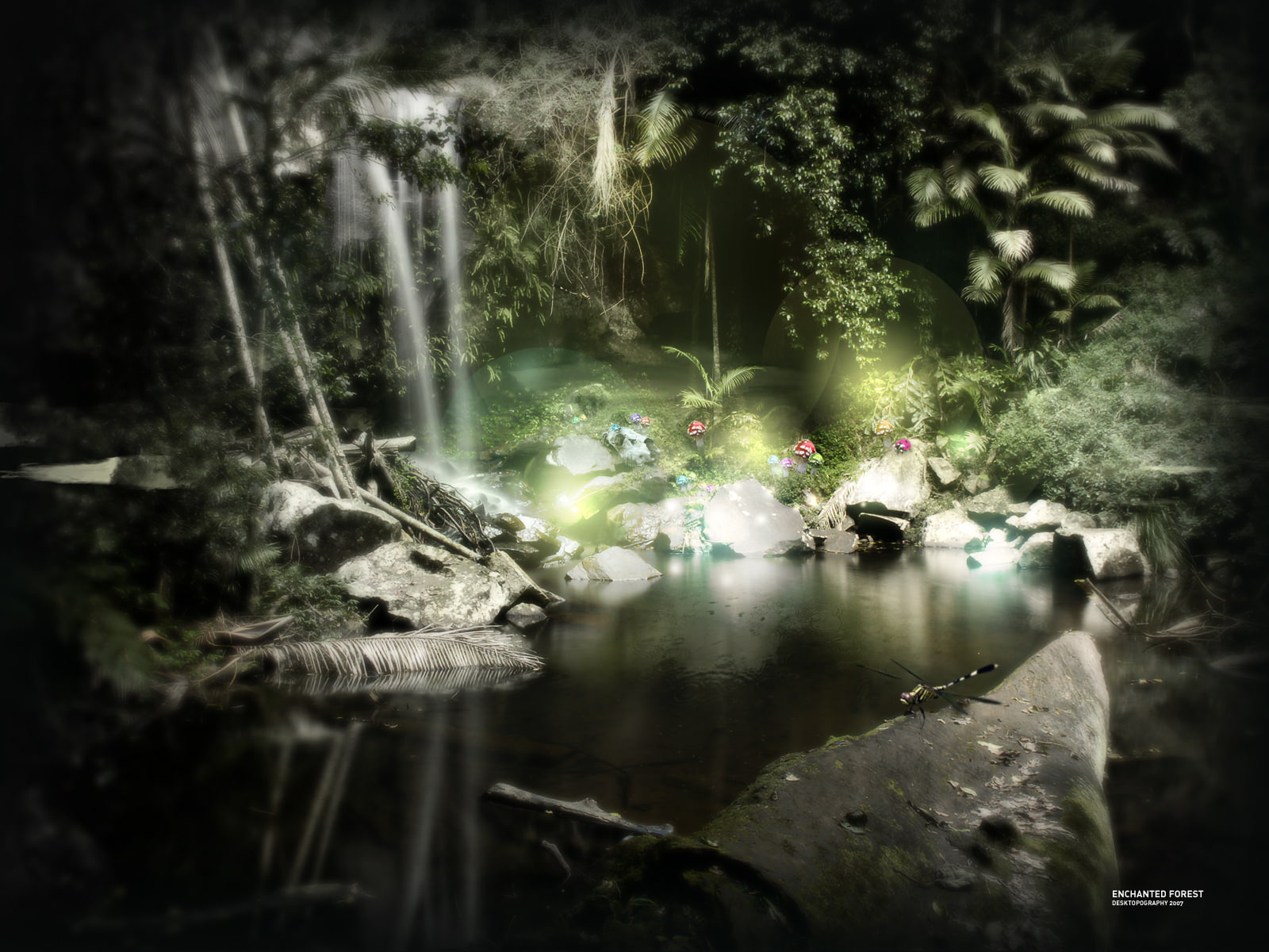 hd, fantasy, jungle, 720P, enchanted, forest, HD Wallpaper