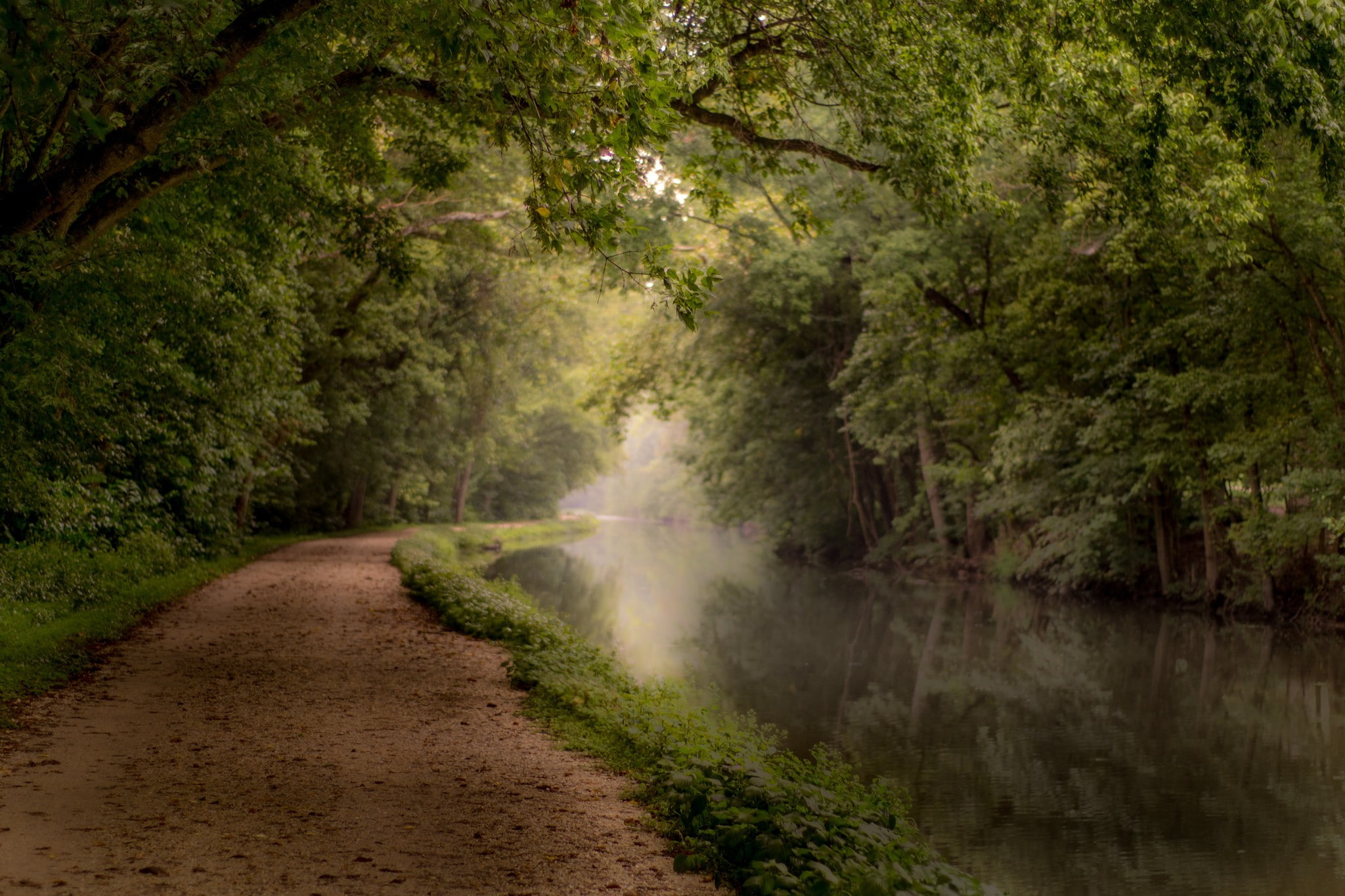 landscape, river, path, forest, 1080P, nature, HD Wallpaper