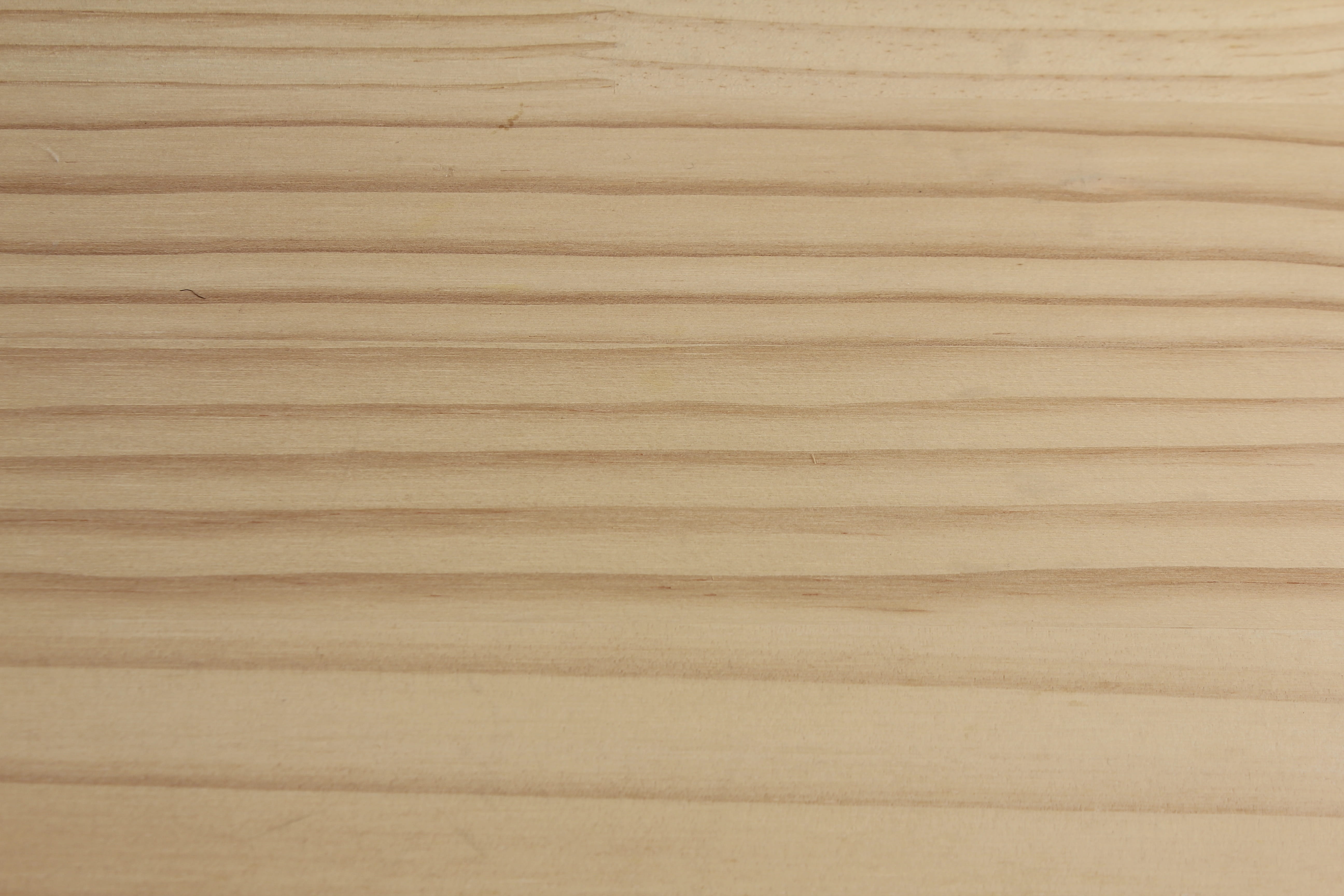 backgrounds, no people, plants, plank, material, bark, wood - material, parquet floor, wood grain, wild, textured, annual zone, interior, close-up, pattern, HD Wallpaper