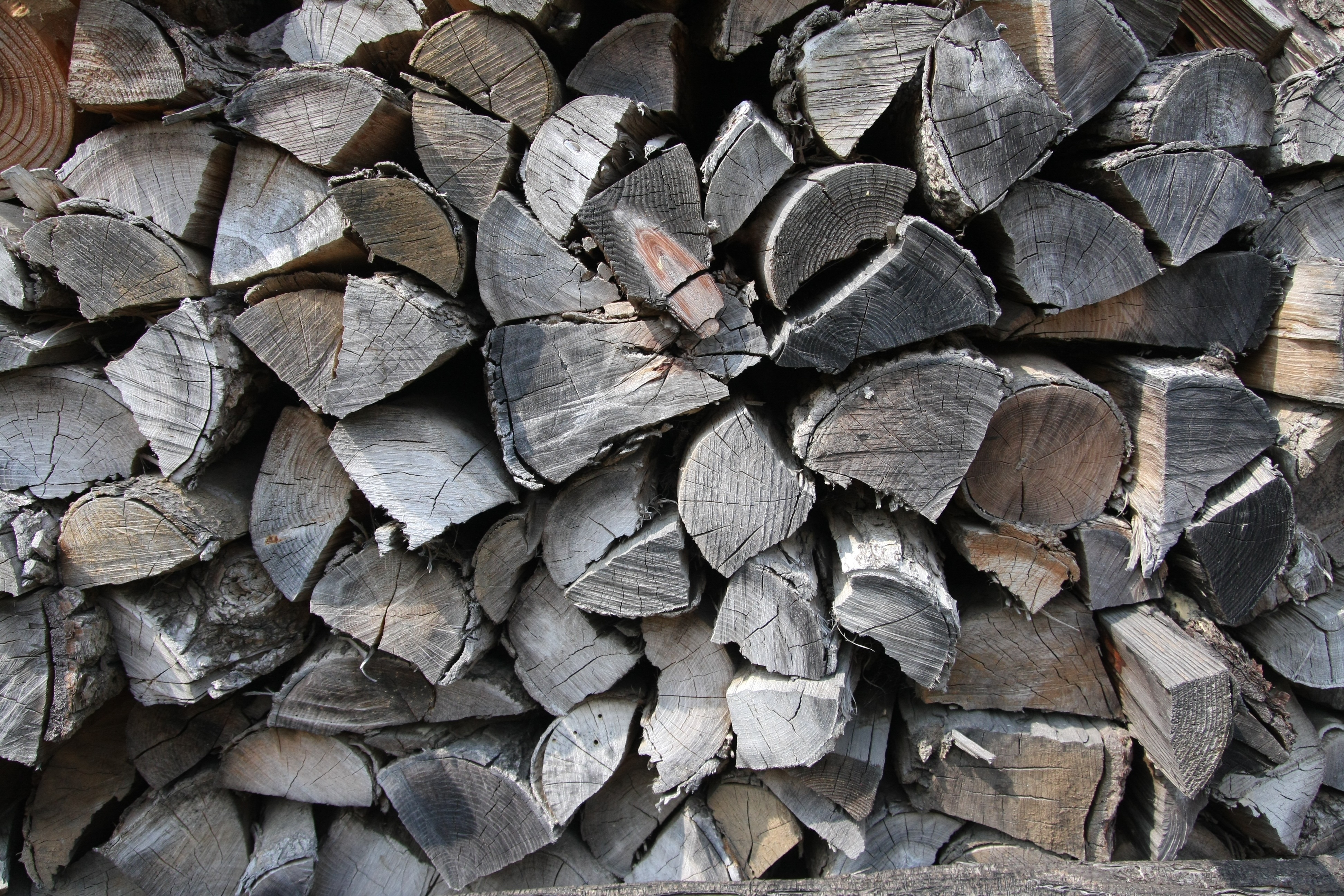 log, lumber industry, woodpile, also clearly sense, heap, 4K, annual zone, pattern, outdoors, abundance, wood, no people, deforestation, tree, stack, forest, HD Wallpaper