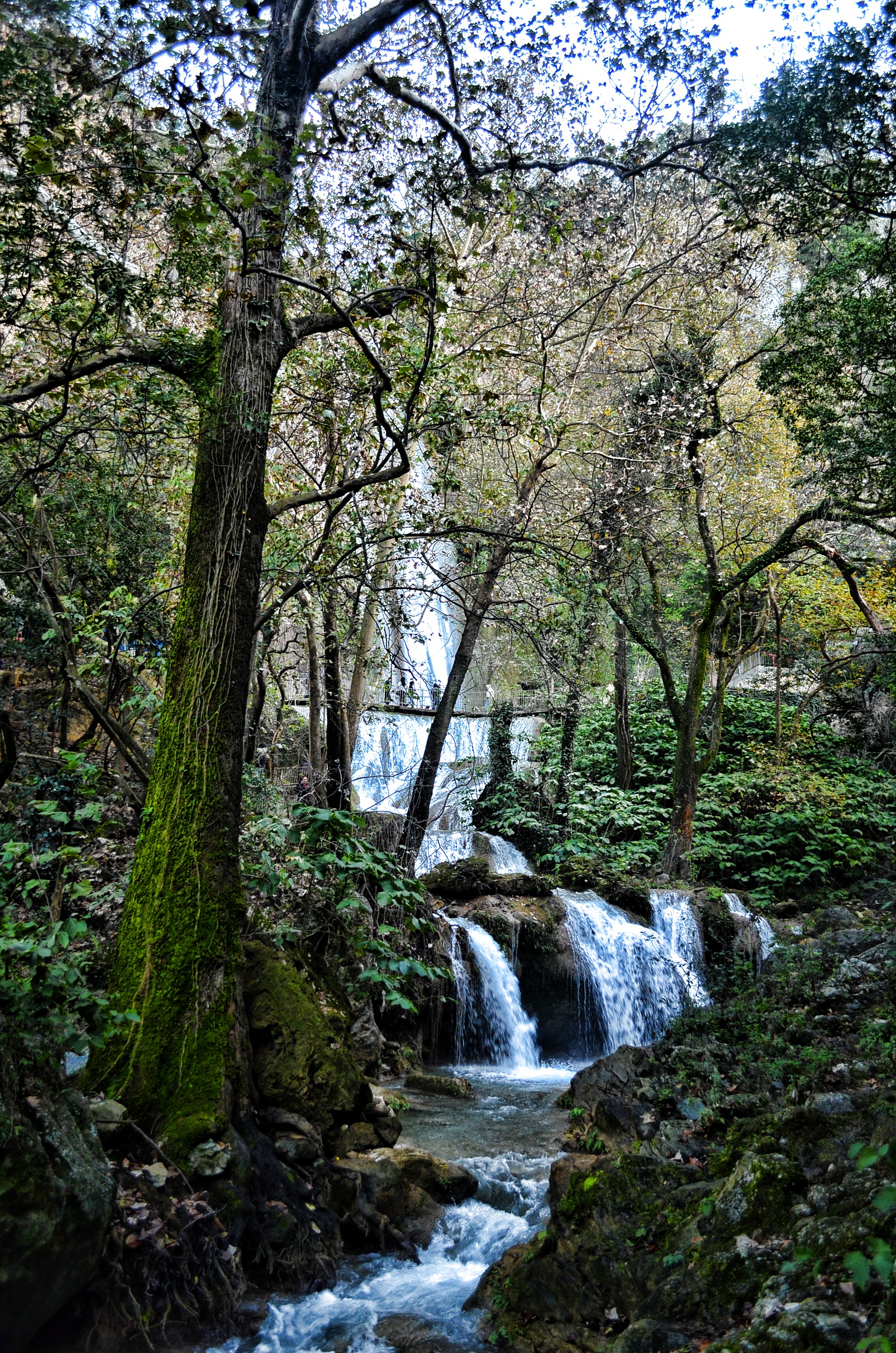 mountain, 1080P, park, paradise, land, flowing, environment, flowing water, forest, tranquility, outdoors, long exposure, rainforest, river, stream - flowing water, Phone HD Wallpaper