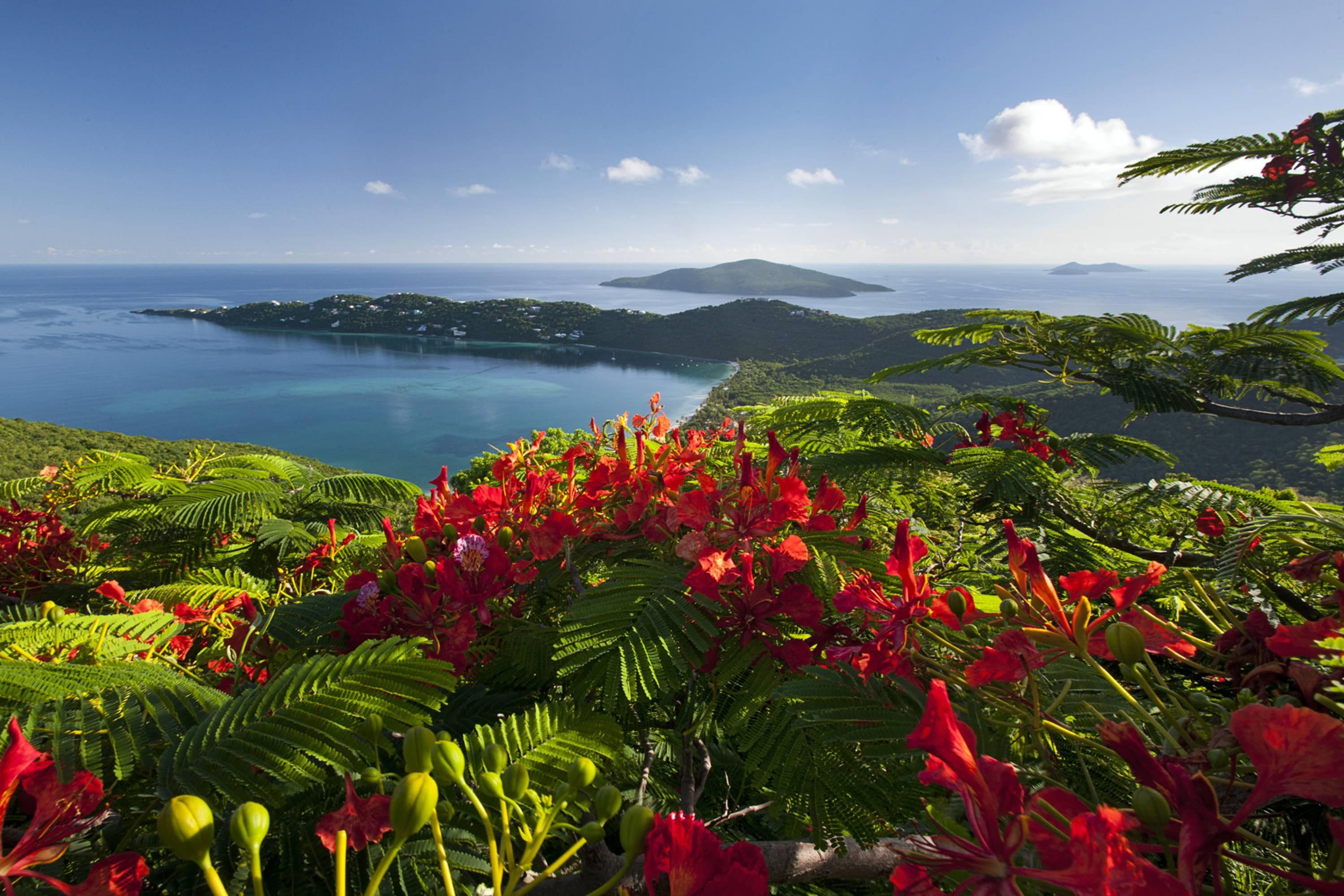 view, incredible, beach, island, tropical, islands, lagoon, flowers, paradise, ocean, mountains, exotic, 2K, HD Wallpaper