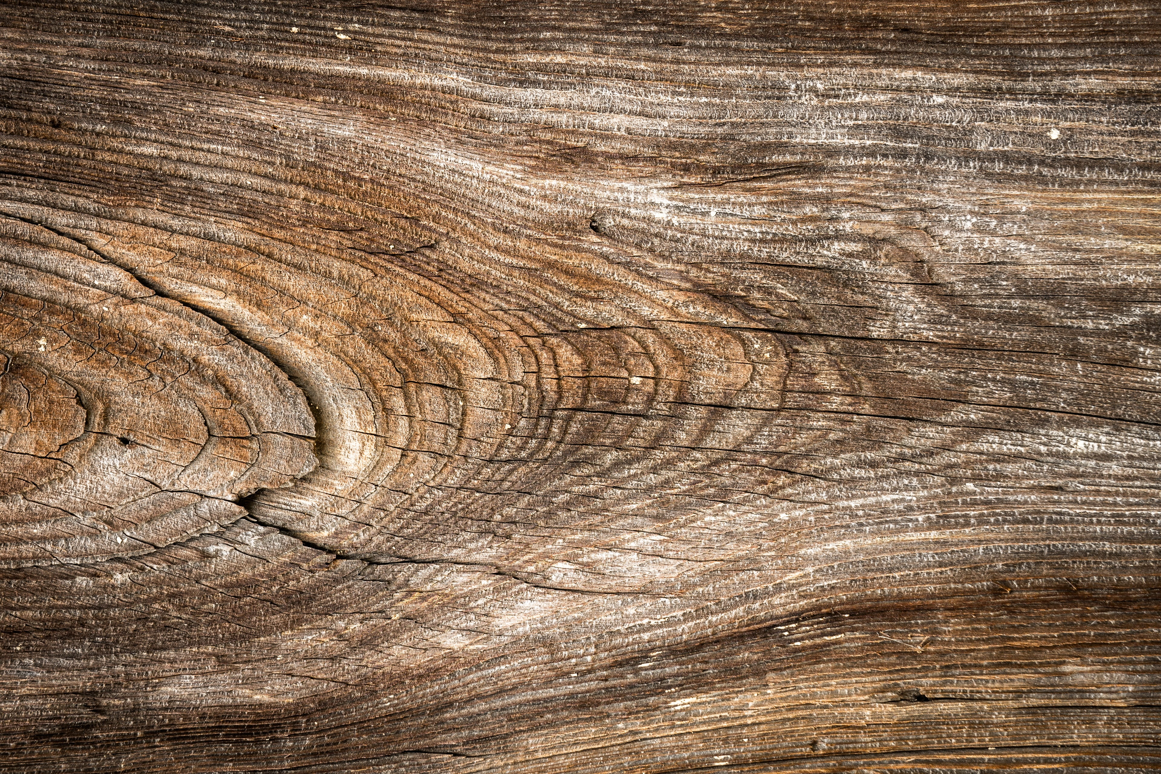 4K, wall, abstract, pattern, brown, flooring, weathered, hardwood, no people, plant, rough, backgrounds, textured, cracked, close-up, interior, wood - material, HD Wallpaper