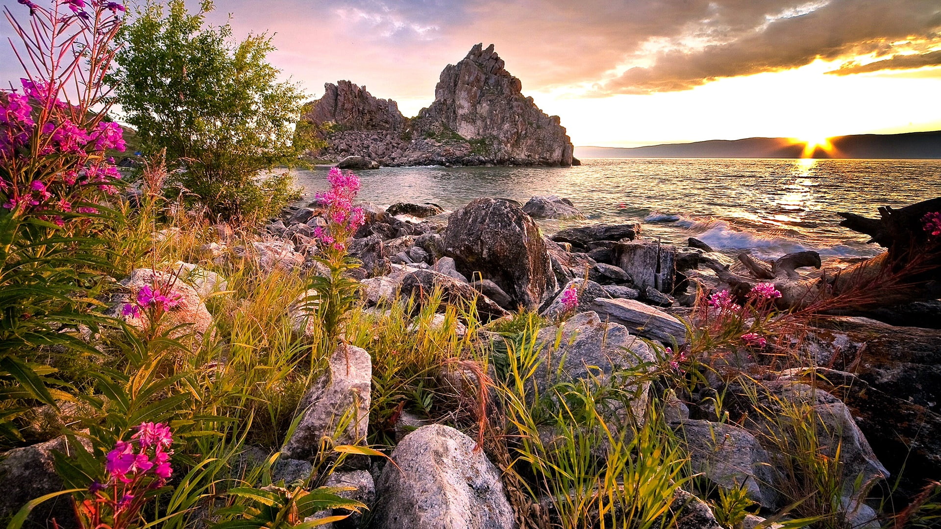 shore, landscape, 1080P, russia, lakeside, burkhan rock, rock, lake, cape burkhan, khuzhir, olkhon island, coast, flower, wildflower, burkhan, bank, lake baikal, HD Wallpaper