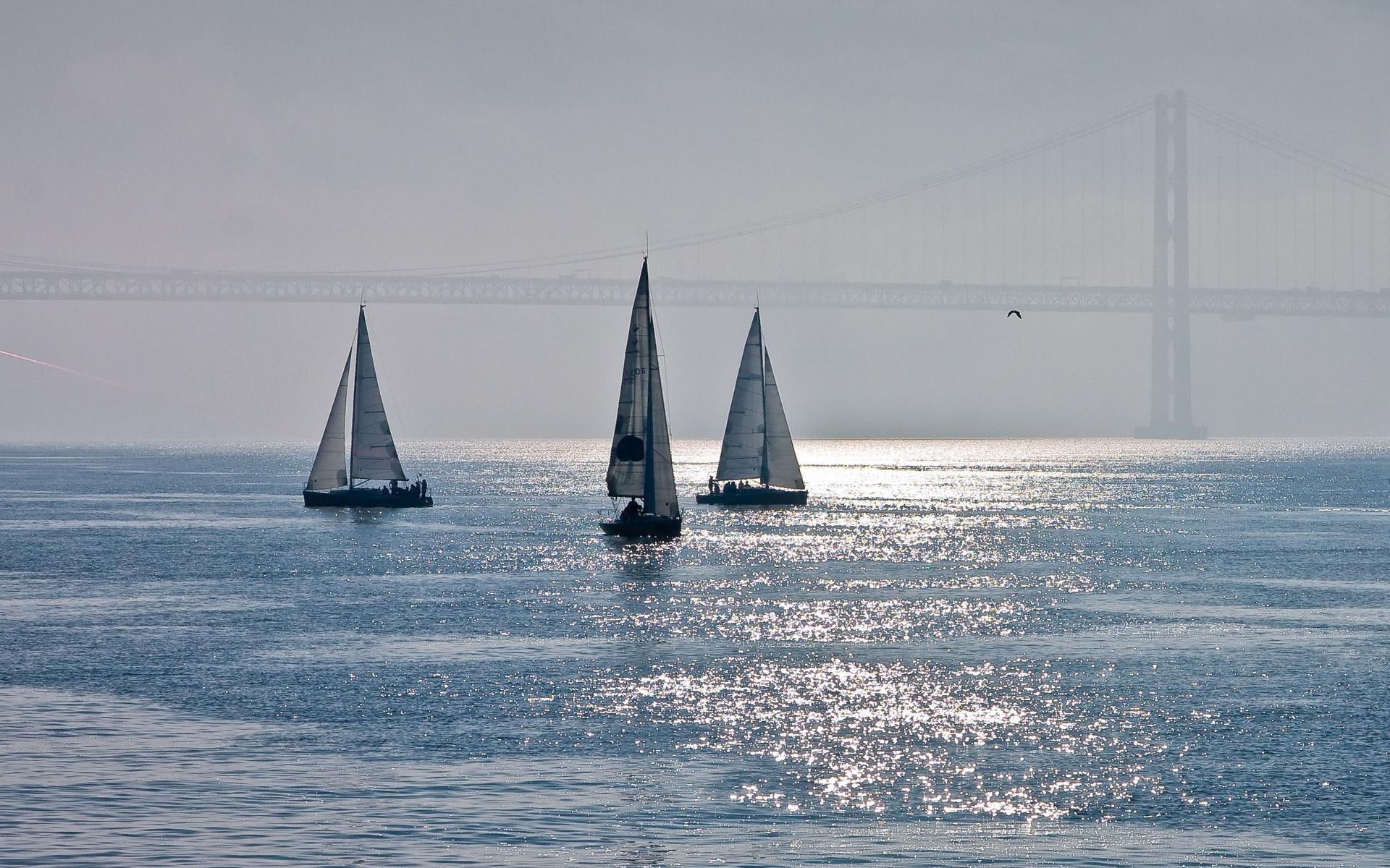 boats, sail, 1080P, hazy, water, beautiful, golden gate, shimmer, shine, HD Wallpaper