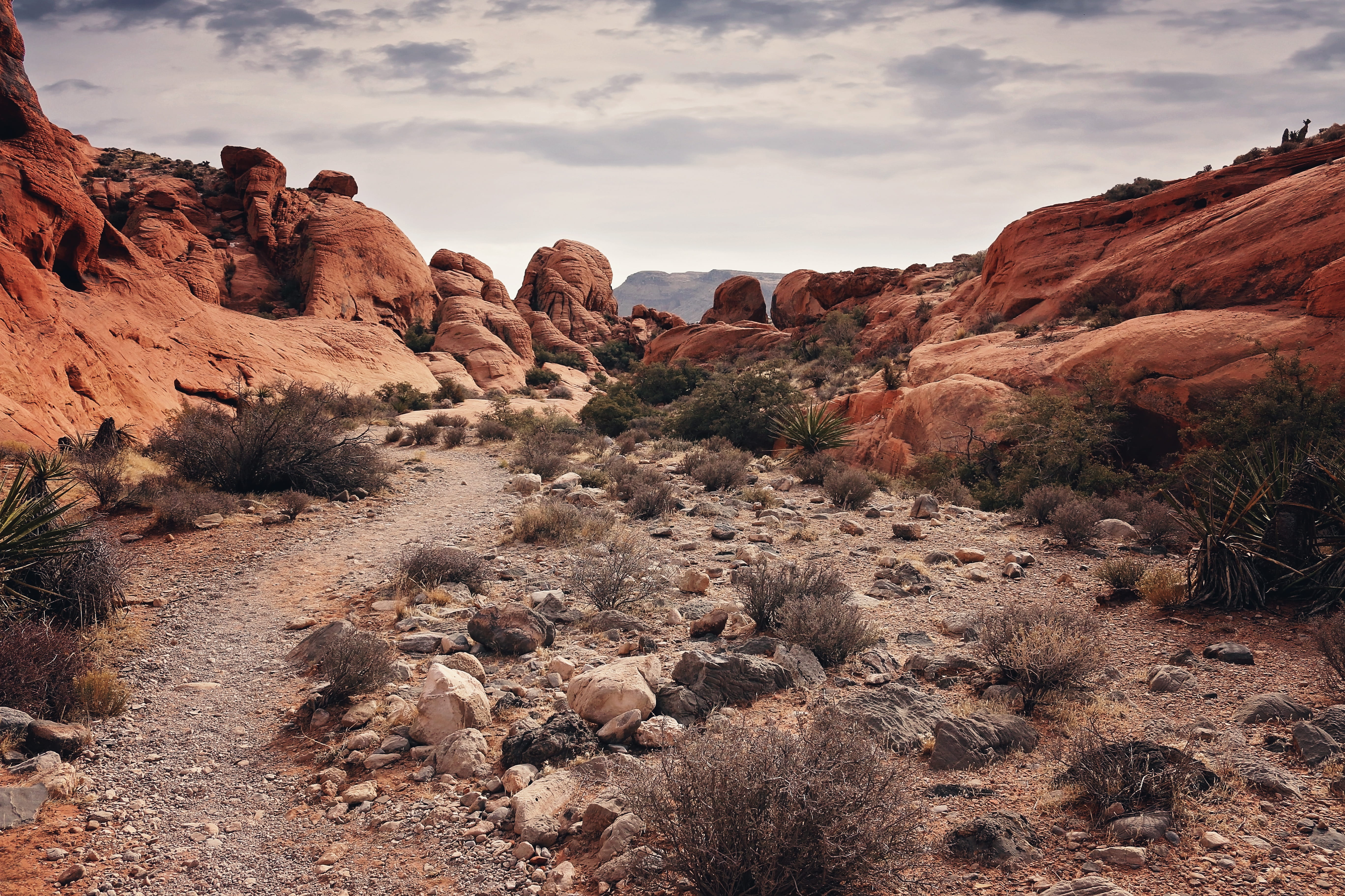 physical geography, red, cliff, scenic, desert, eroded, hiking, travel destinations, formation, nature, solid, sky, sunset, red rock canyon, climate, landscape, HD Wallpaper