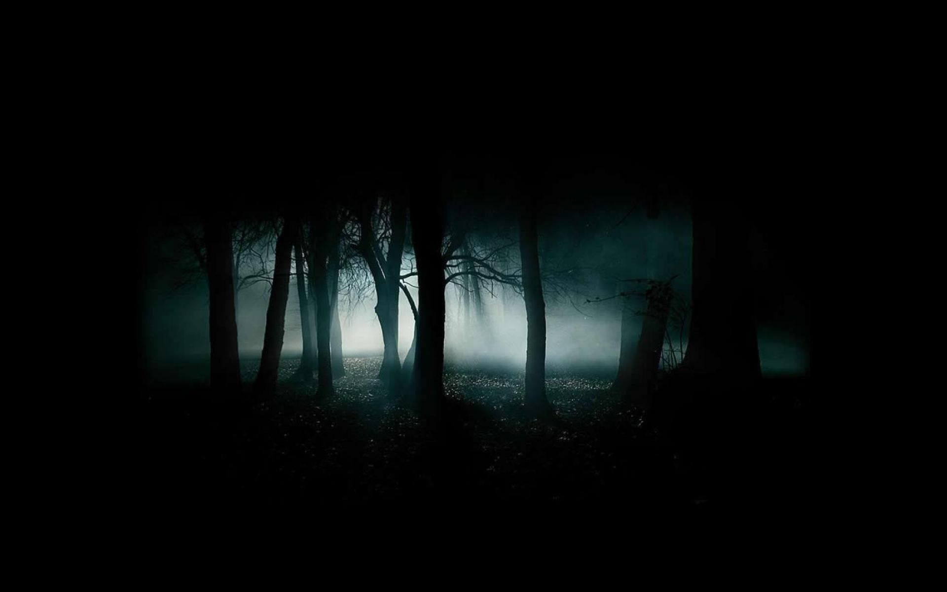 spooky, mystery, mist, fear, forest, horror, tree, plant, landscape, outdoors, fog, trees, dark, land, nature, 1080P, silhouette, tree trunk, woodland, HD Wallpaper
