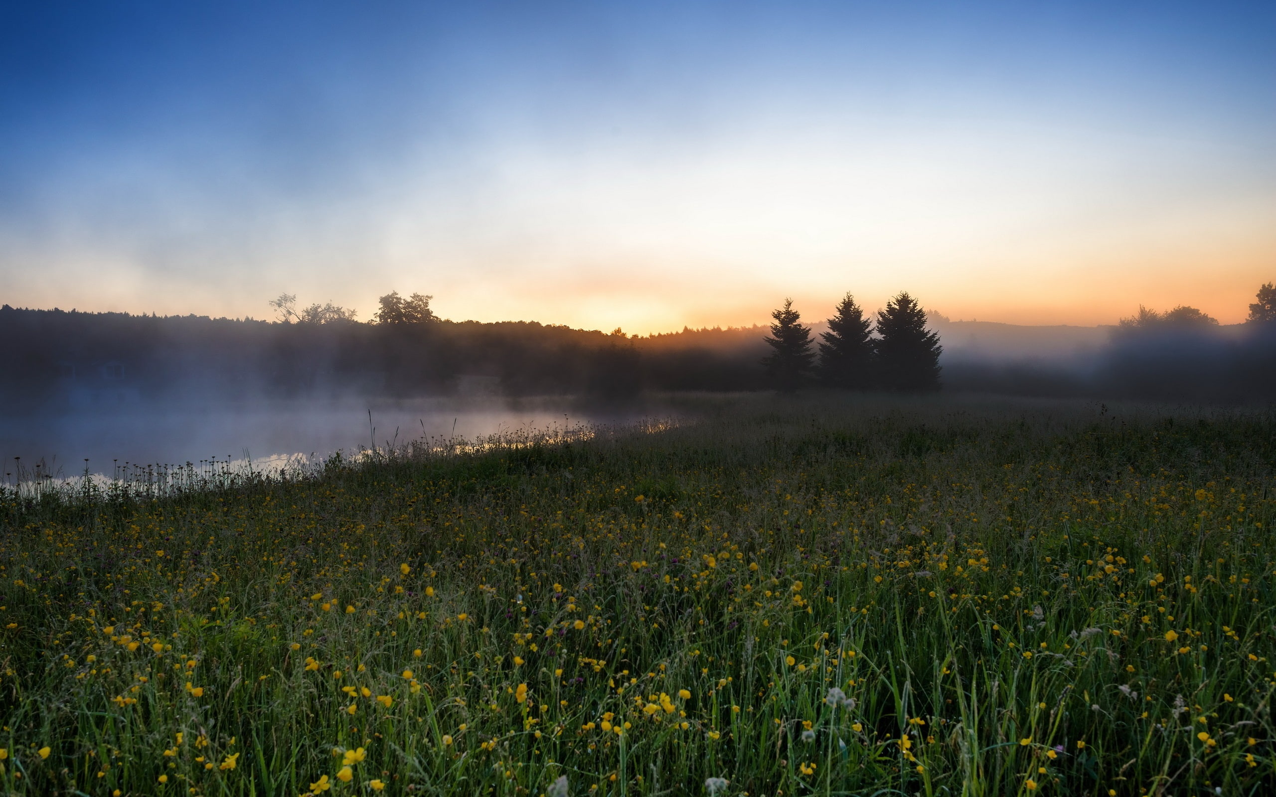 Fog, Fields, 2K, River, Scenery, Morning, HD Wallpaper