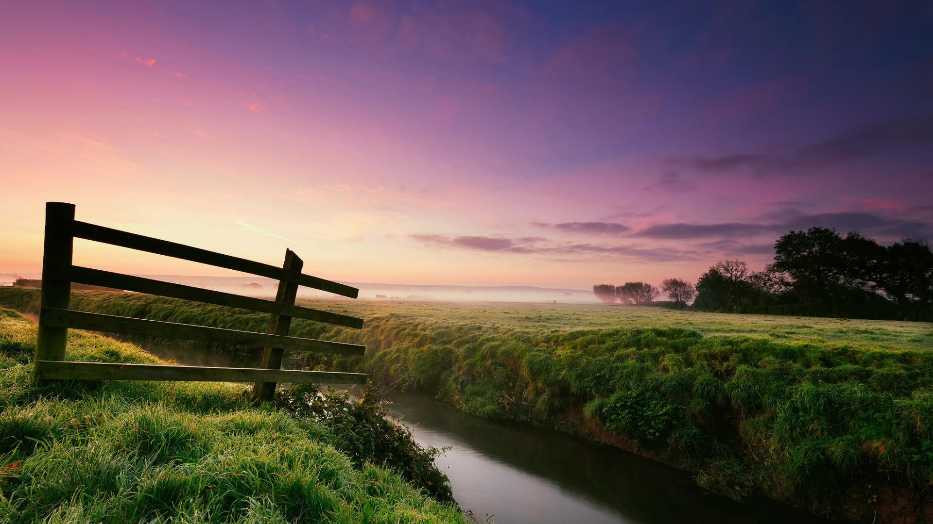 desktop, tree, landscape desktop, 1080P, landscape, grass, morning dew, morning, dew, river, HD Wallpaper