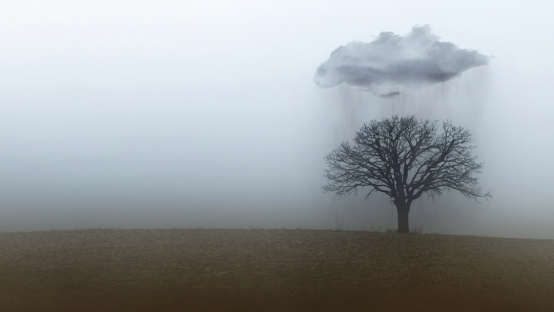 land, isolated, trees, non-urban scene, morning, tree, beauty in nature, environment, tranquility, hazy, bare tree, 1080P, remote, sky, no people, smog, HD Wallpaper