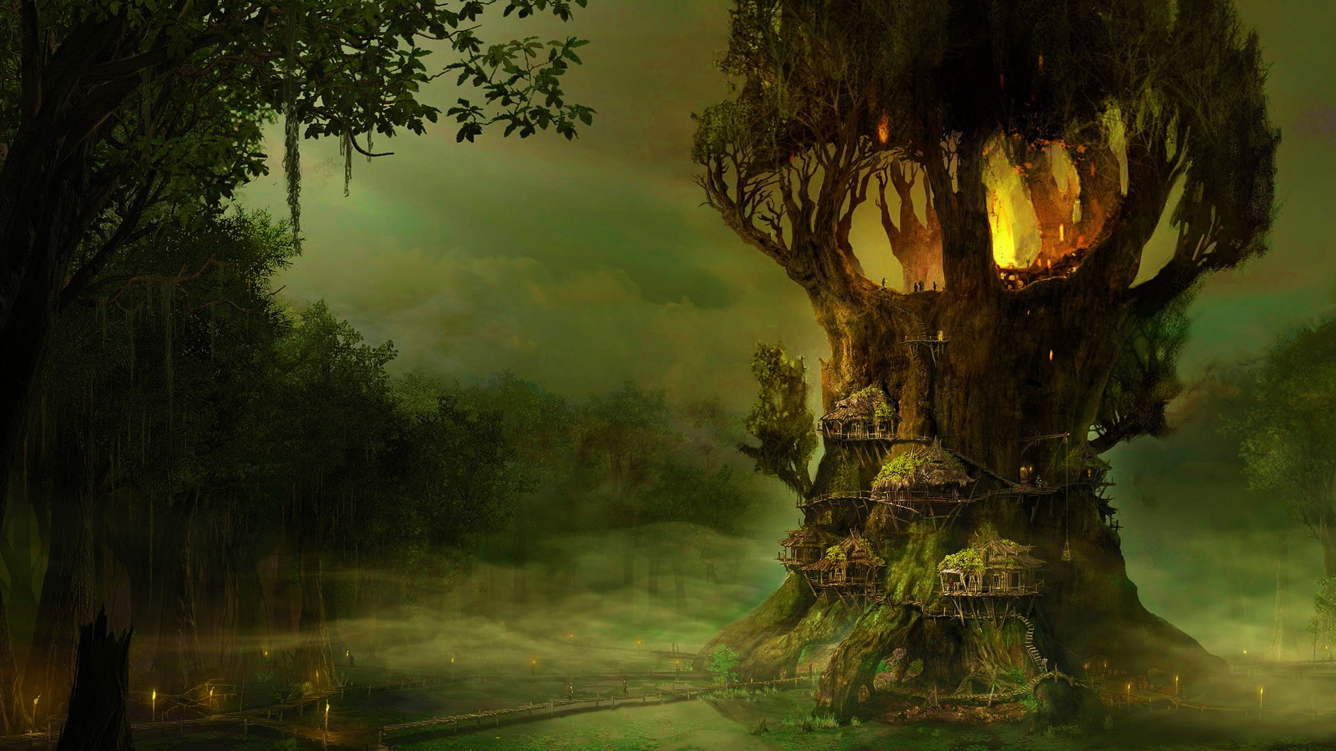 green color, fog, tree trunk, plant, non-urban scene, tree, no people, water, tranquility, forest, outdoors, tranquil scene, land, 1080P, Gothic 4: Arcania, HD Wallpaper