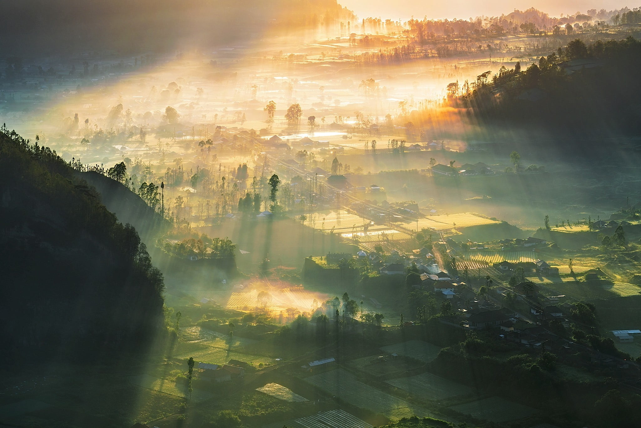 no people, beauty in nature, field, tranquility, outdoors, architecture, tree, building exterior, high angle view, fog, sky, plants, 1080P, sunlight, valley, HD Wallpaper